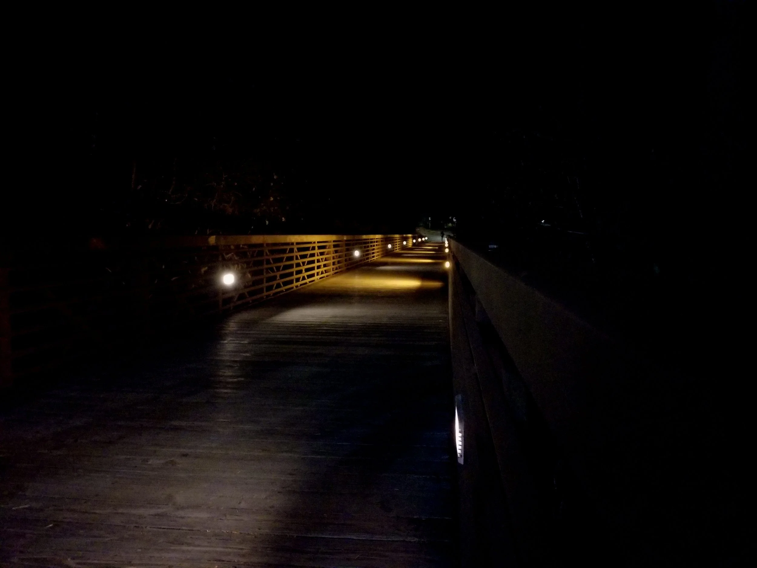 Omen Path #1