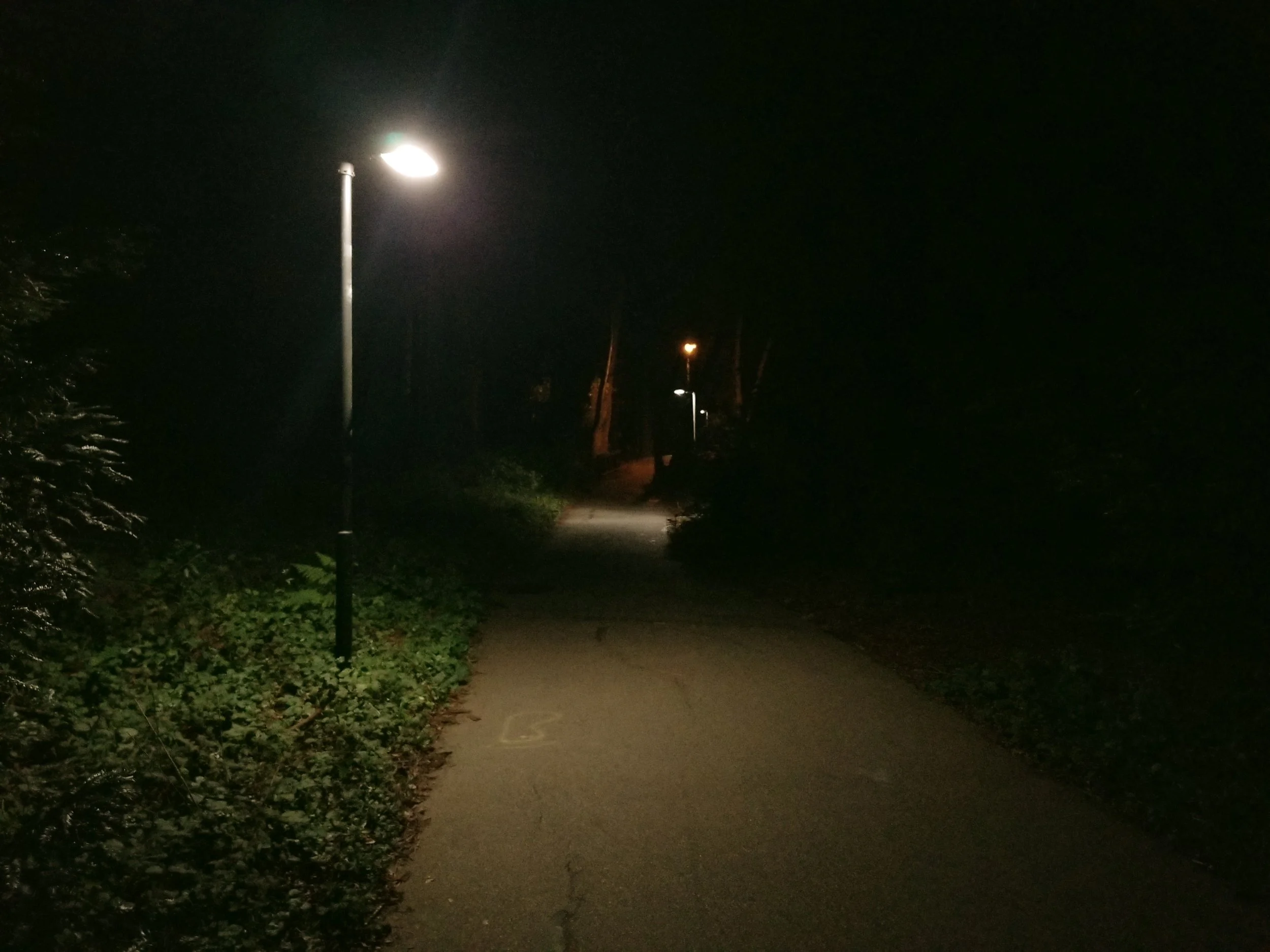 Omen Path #3
