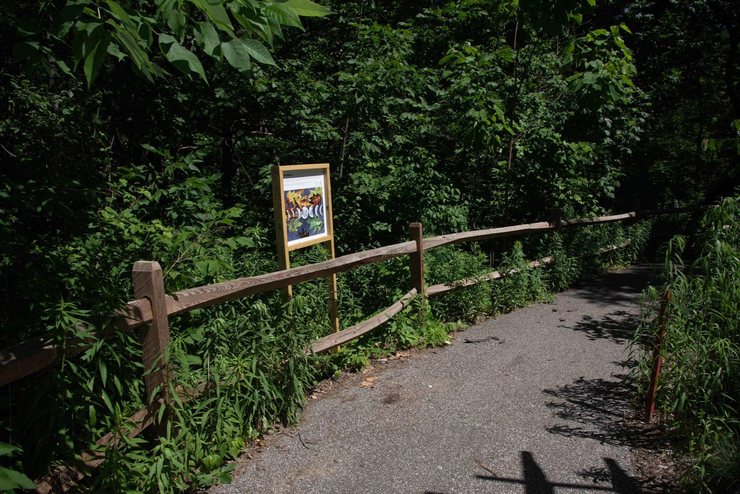 2000s: One Tree Project, 2026, 24"x24", Vinyl print of acrylic ink drawing mounted on aluminum and framed, On view at the Nature Center at Shaker Lakes from May 2026 to December 2026