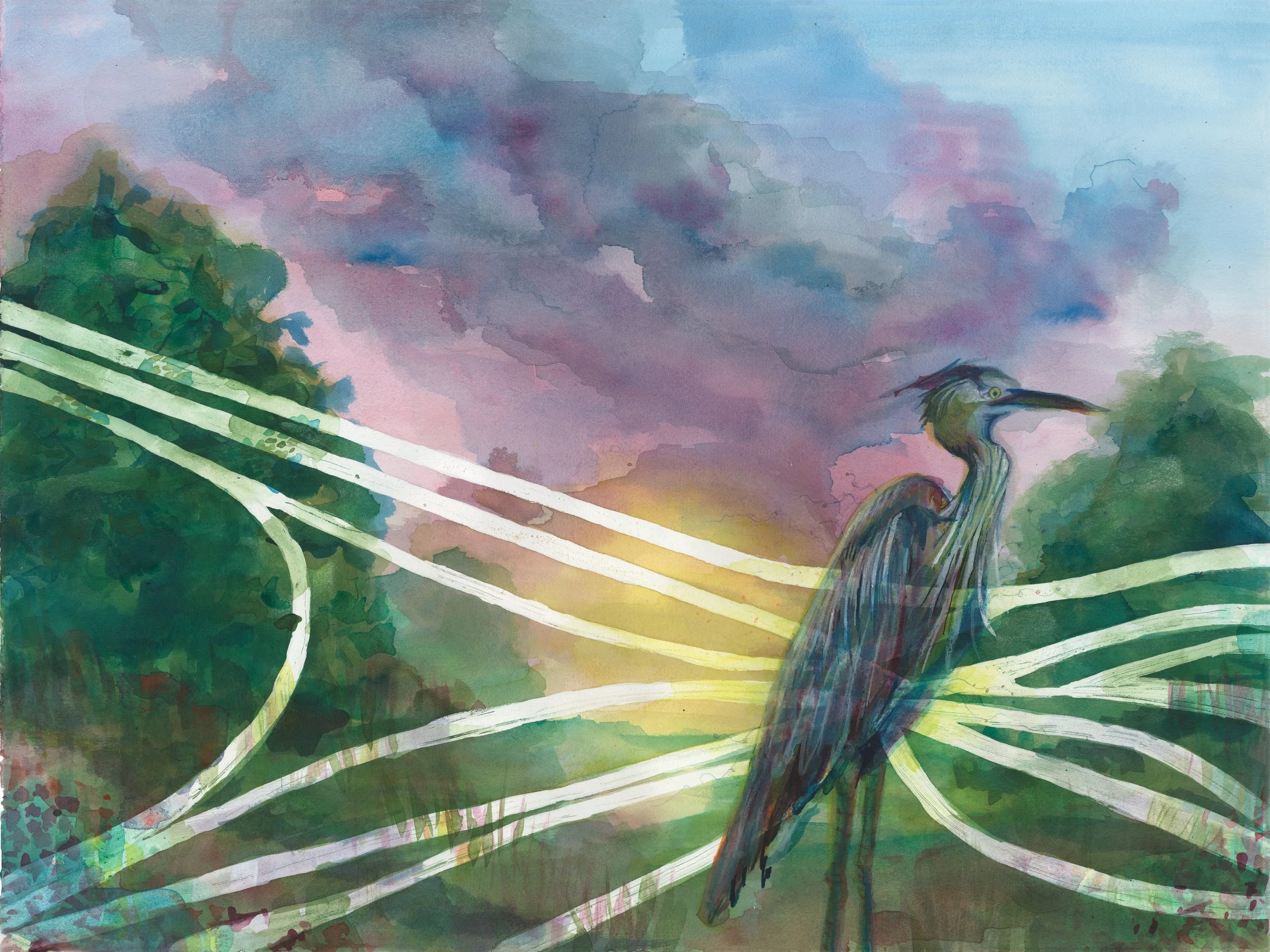 1960: Freeway Fighters, 2026, 18"x24", Acrylic ink on BFK Reeves, Made in partnership with the Nature Center at Shaker Lakes and the Cleveland Institute of Art