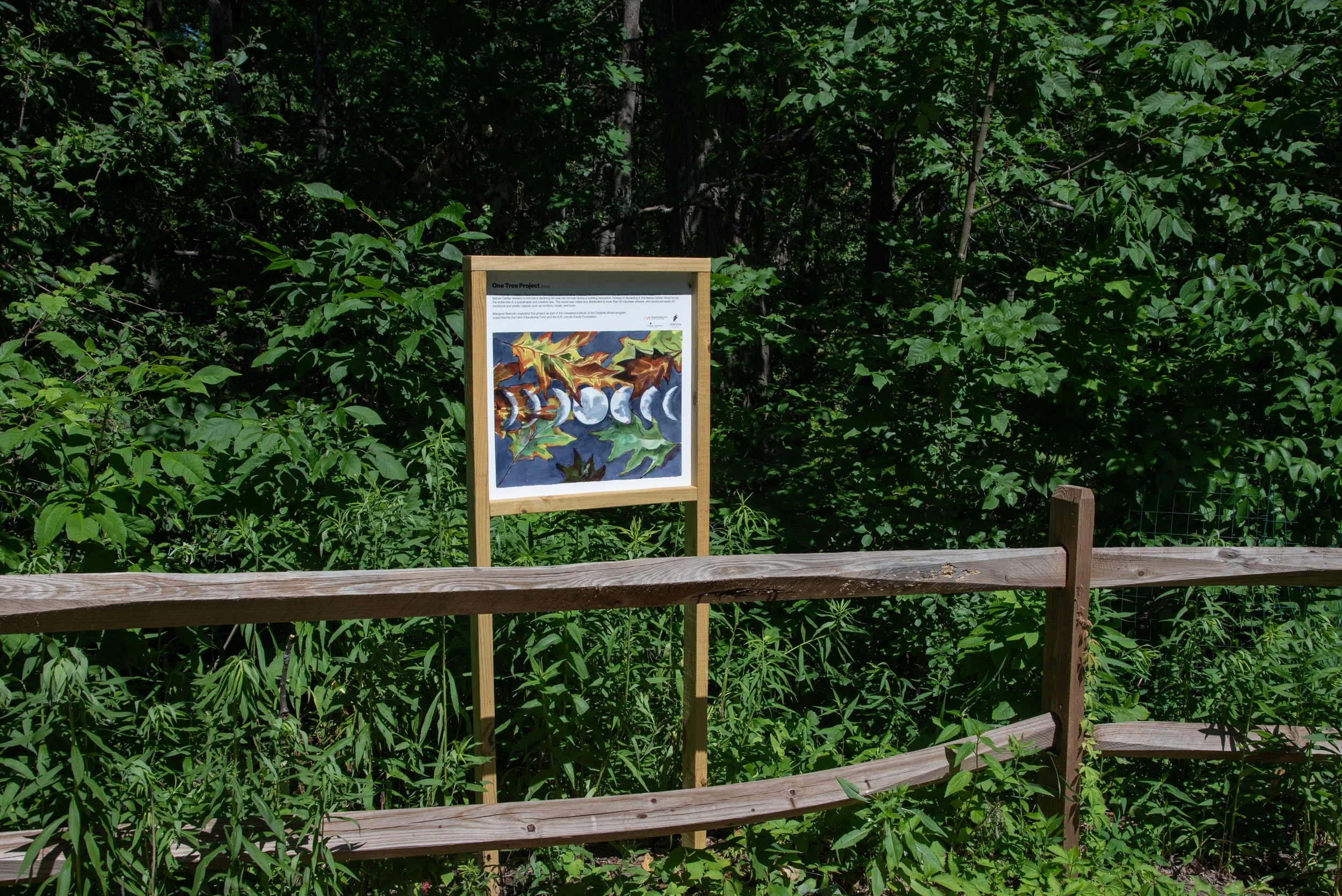 2000s: One Tree Project, 2026, 24"x24", Vinyl print of acrylic ink drawing mounted on aluminum and framed, On view at the Nature Center at Shaker Lakes from May 2026 to December 2026