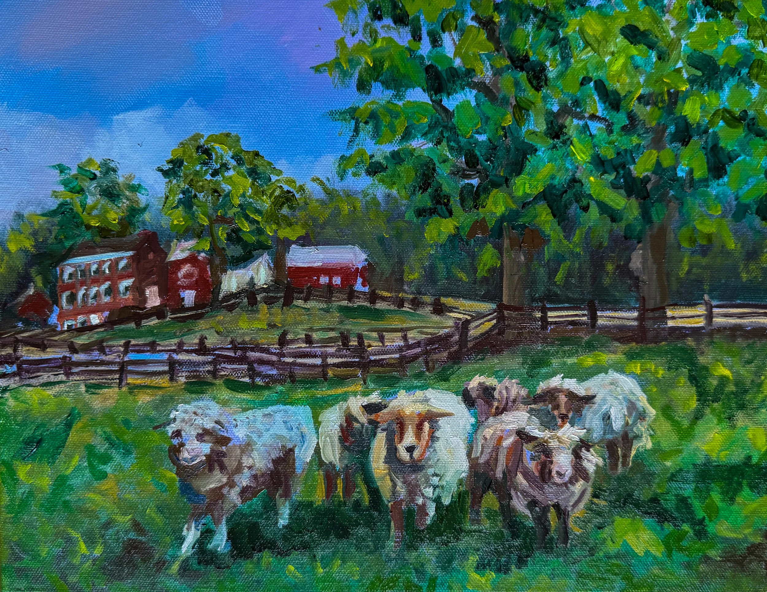 Sheep of Hale farm, 2025, 10"x15", Oil on canvas
