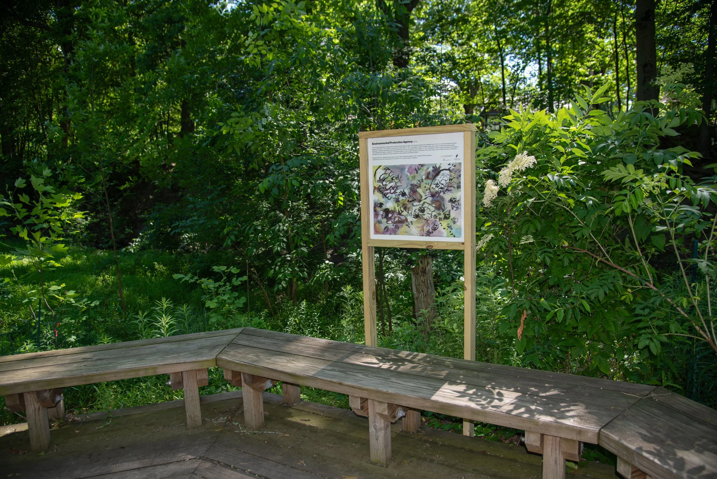 1970s: Sterns Trail, 2026, 24"x24", Vinyl print of acrylic ink drawing mounted on aluminum and framed, On view at the Nature Center at Shaker Lakes from May 2026 to December 2026