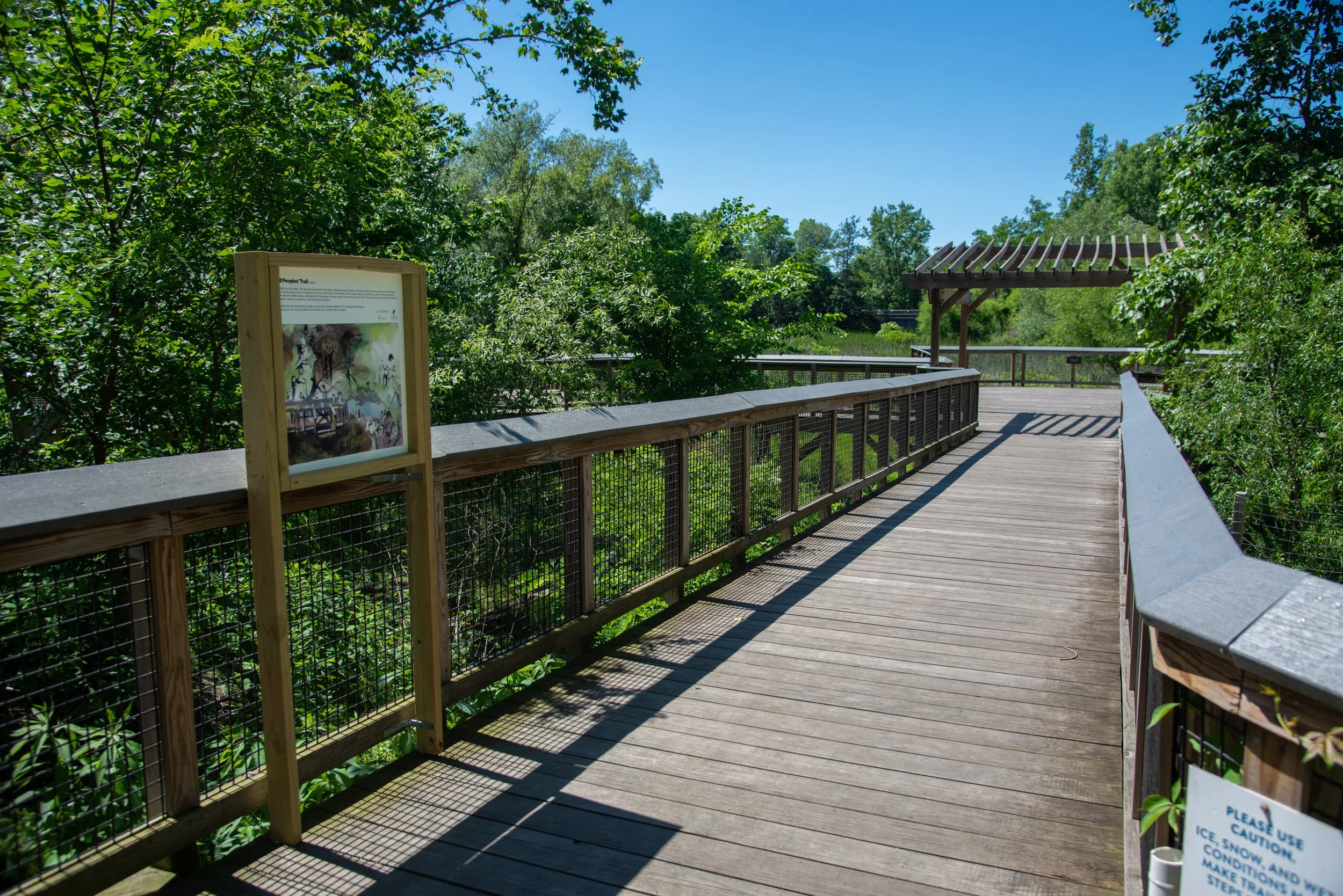 1980s: All Peoples Trail, 2026, 24"x24", Vinyl print of acrylic ink drawing mounted on aluminum and framed, On view at the Nature Center at Shaker Lakes from May 2026 to December 2026