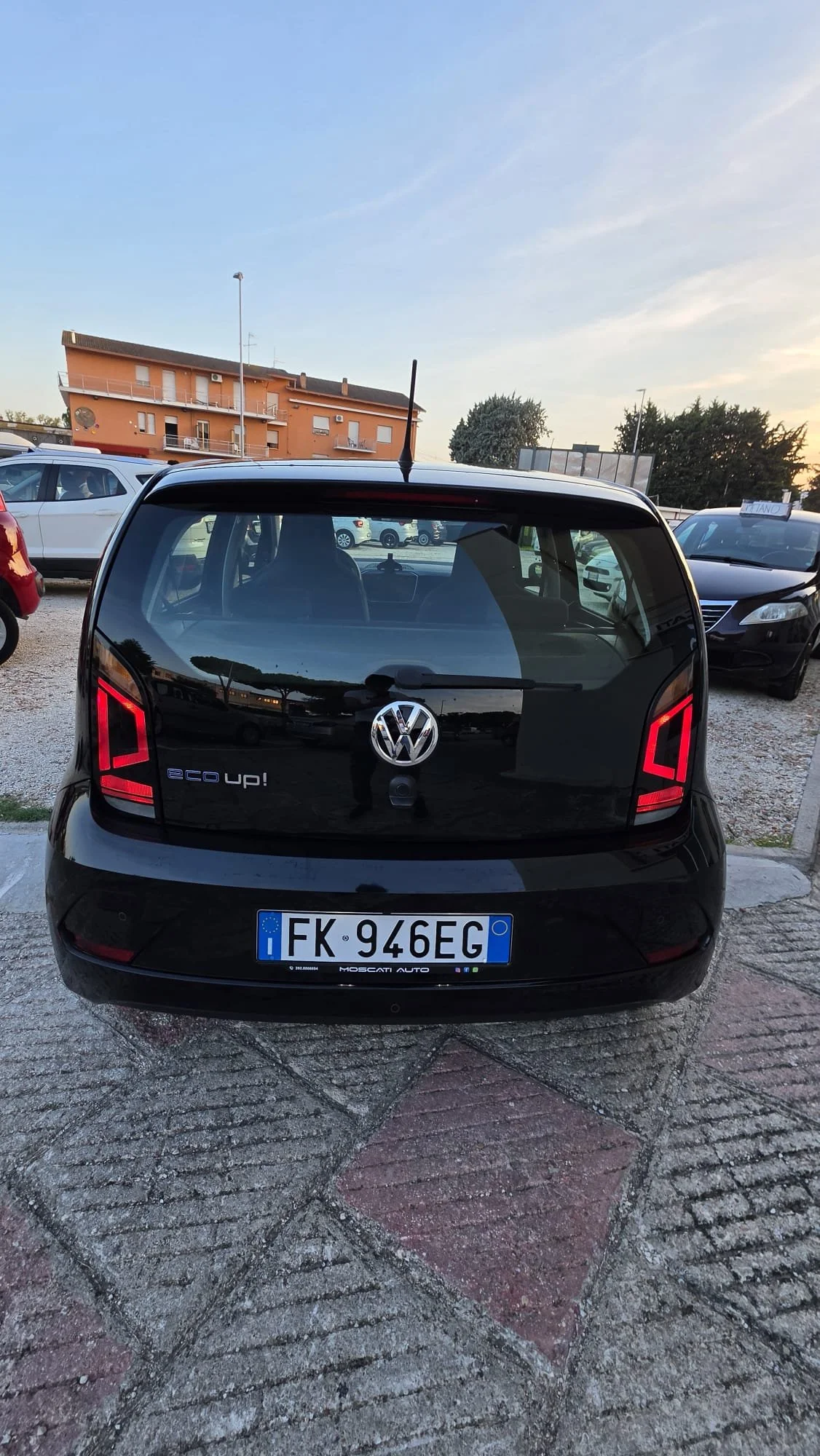 1000026774.jpg