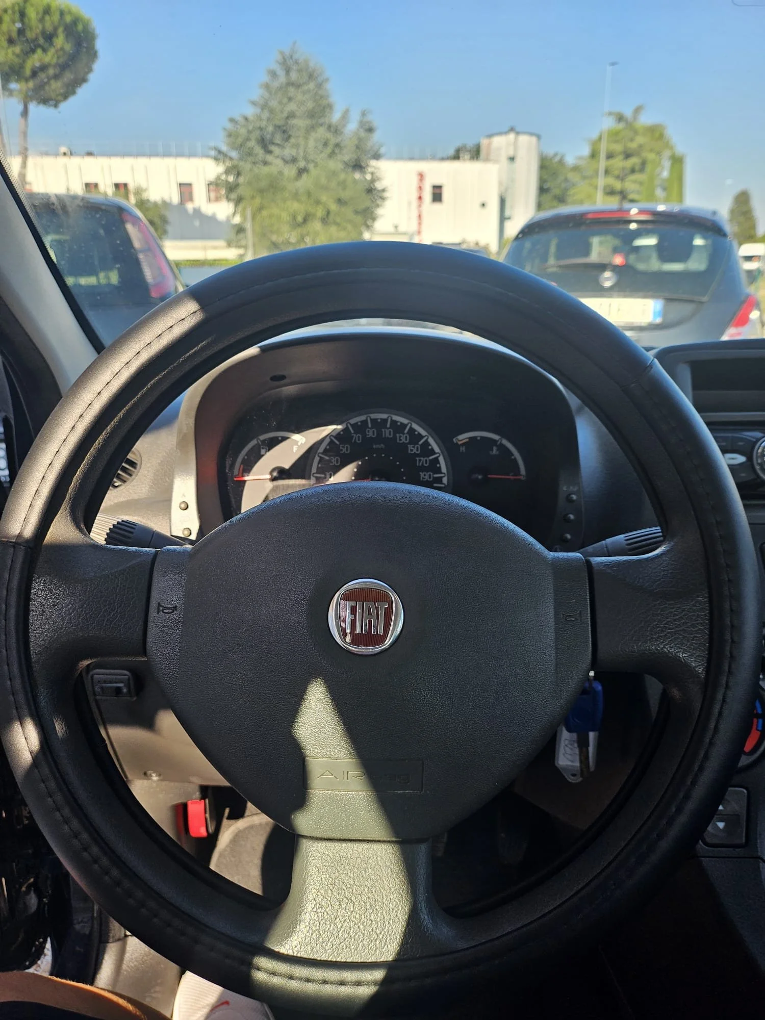 1000017334.jpg