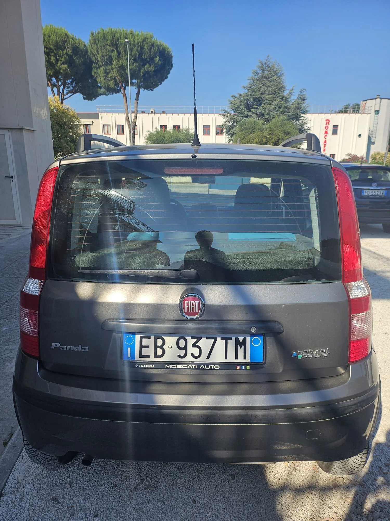 1000013236.jpg