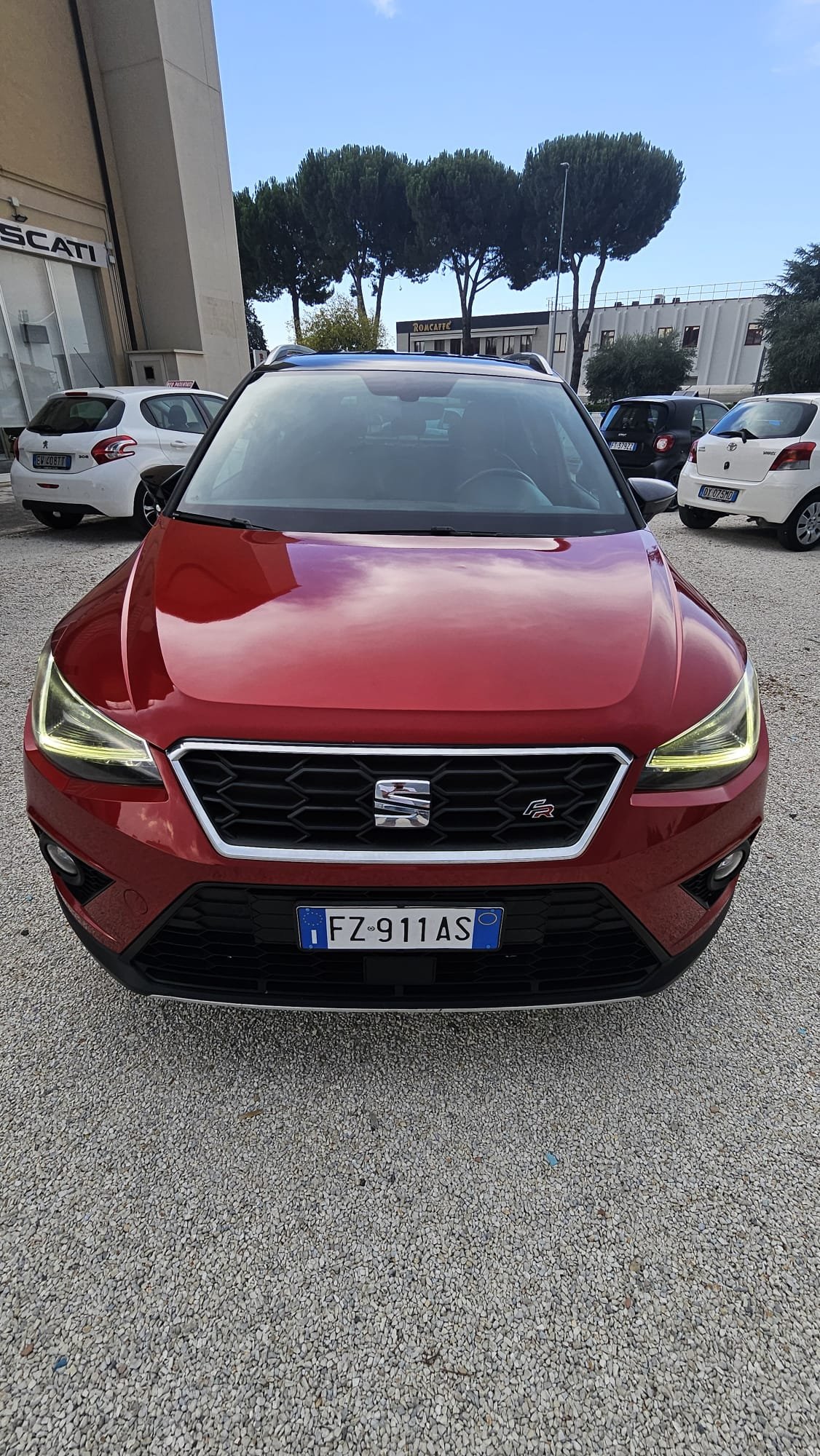 1000018102.jpg
