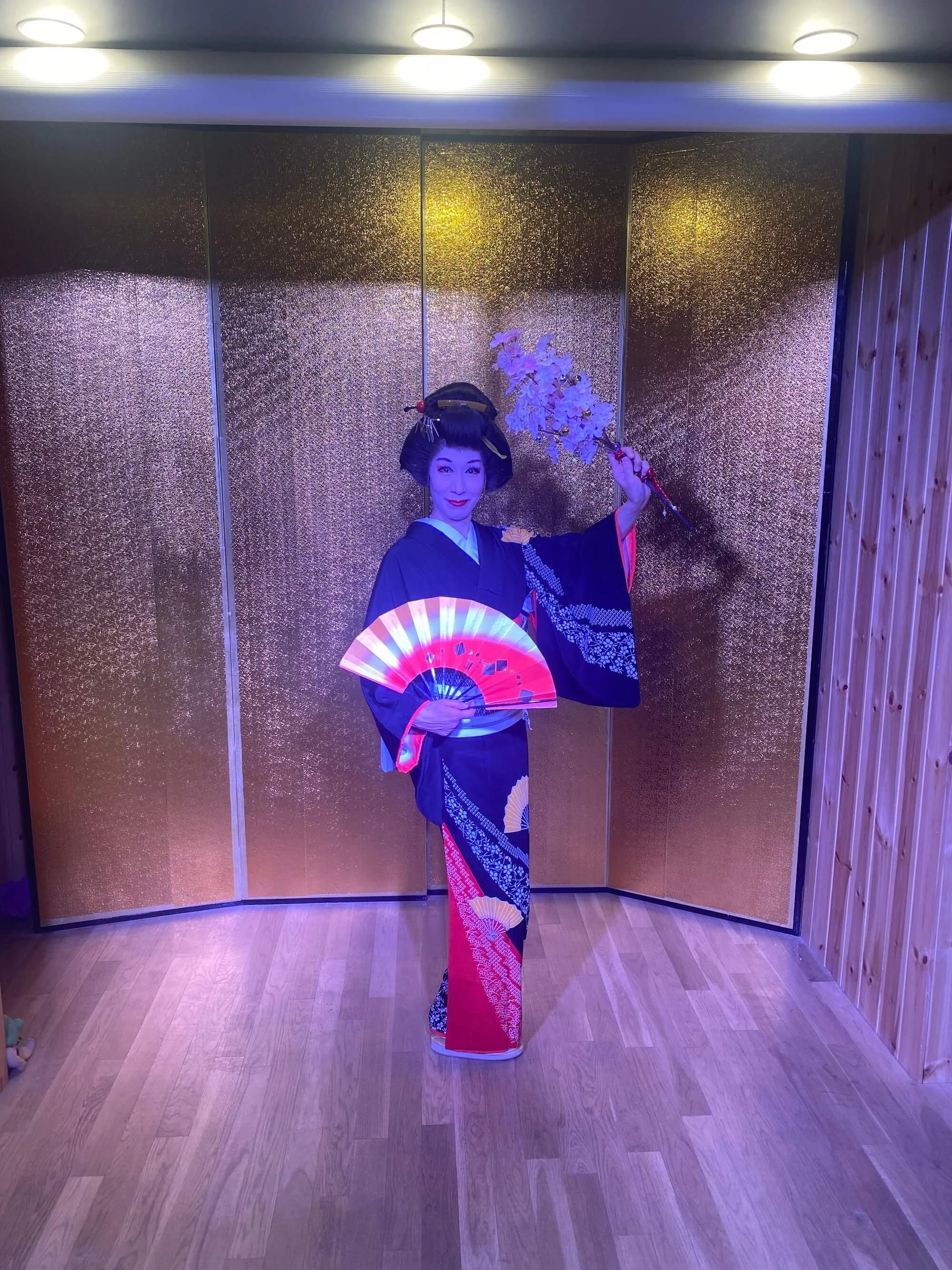 japan geisha.jpeg