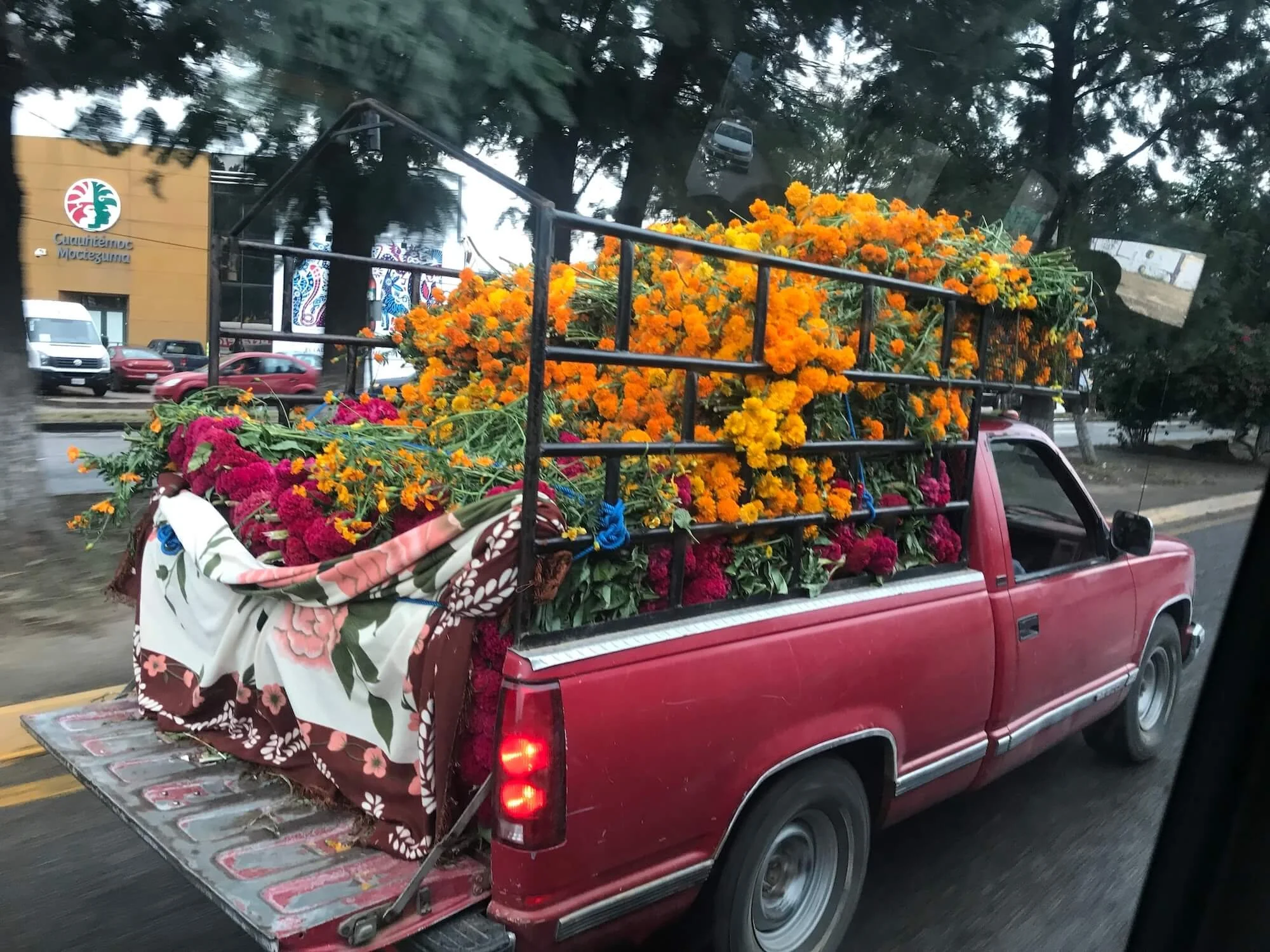oaxaca mexico travel truck.jpeg