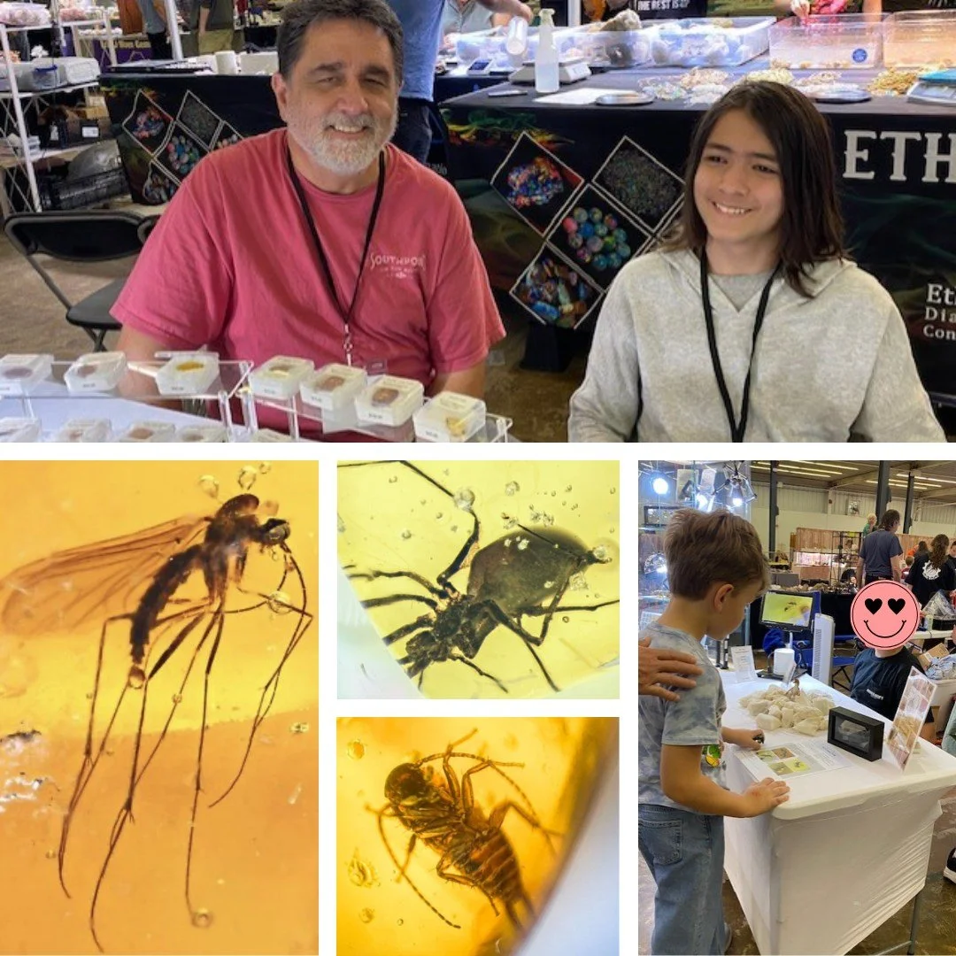 VENDOR SPOTLIGHT:  THE AMBER TREE 

We reveal the breathtaking wonder of rare amber fossils&mdash;tiny prehistoric worlds preserved in time&mdash;inviting collectors of all ages to experience the thrill of prehistoric discovery!  Our Kids&rsquo; Myst