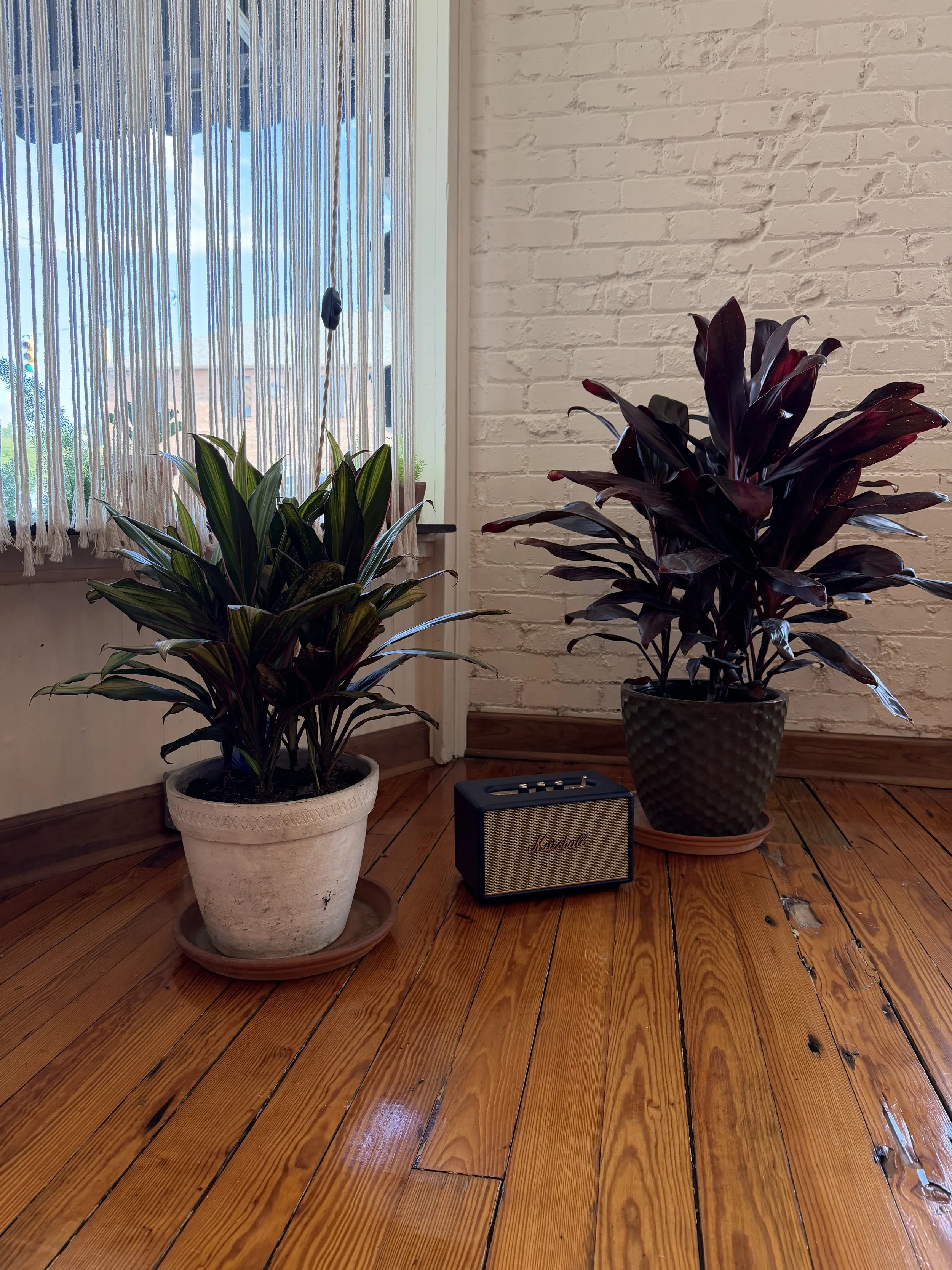 Two potted plants on a wooden floor in front of a white brick wall and a window with a beaded curtain, with a small speaker on the floor.