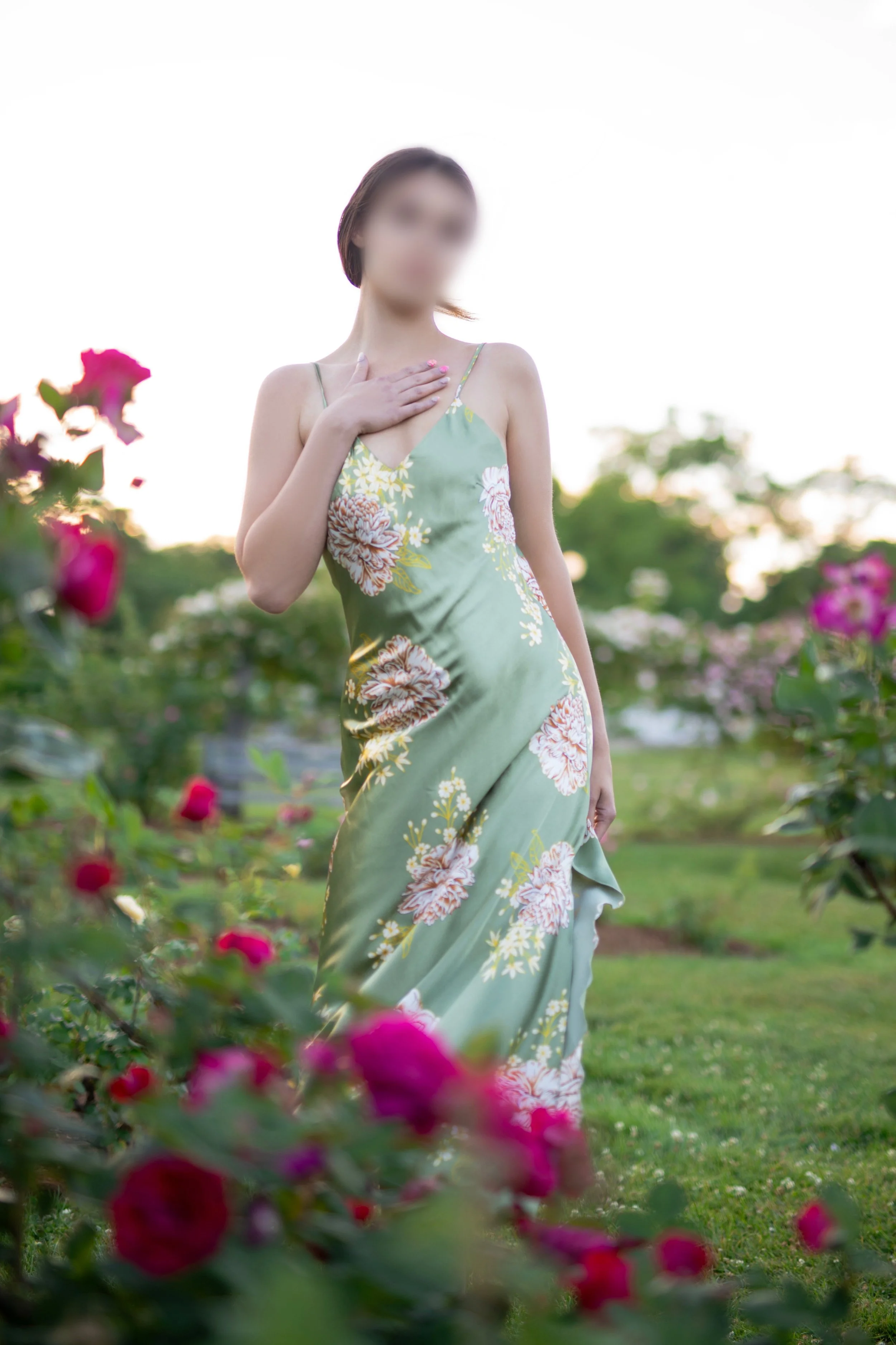 boston-companion-gallery.jpg