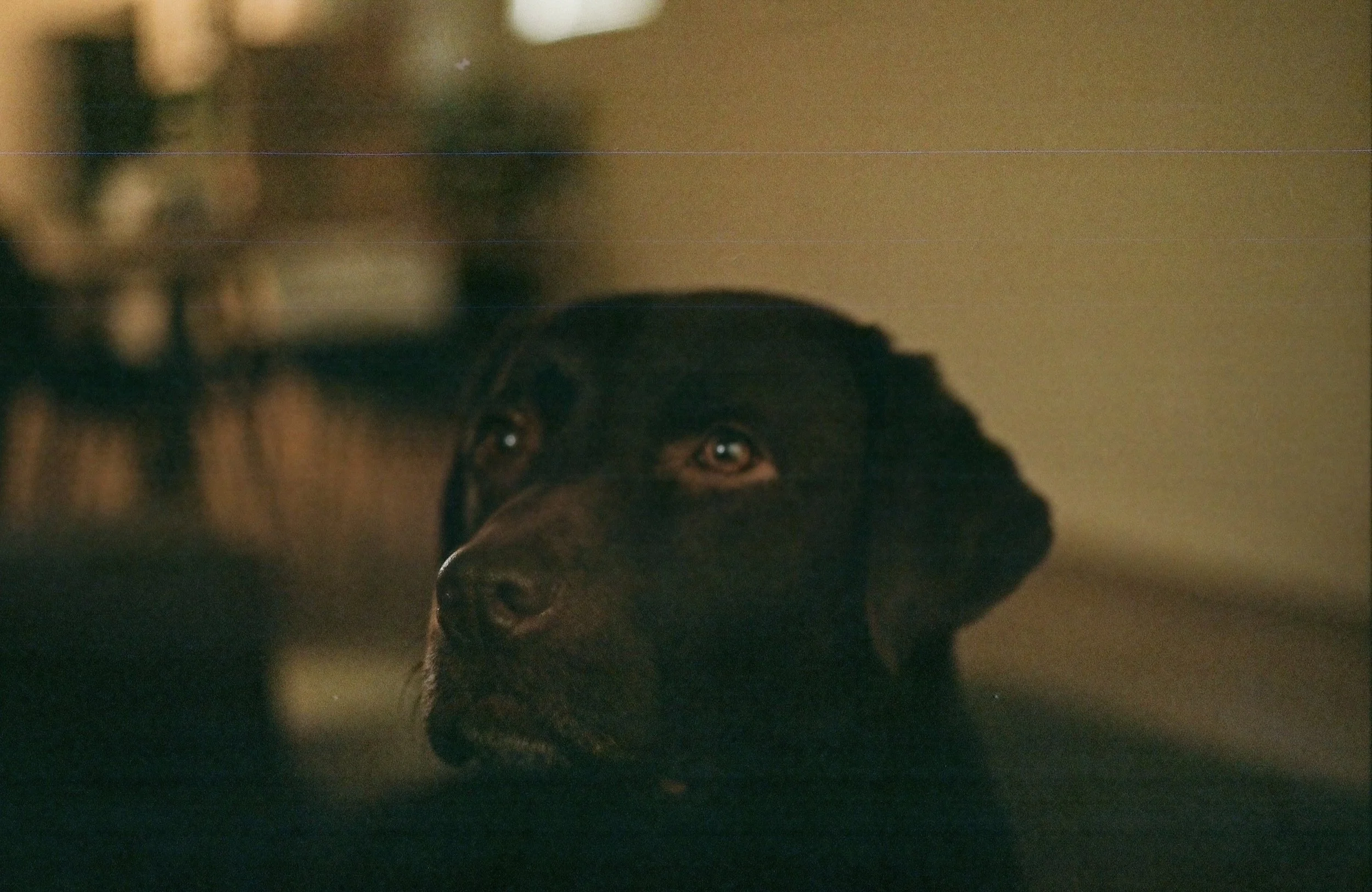 IMG_0899.jpeg