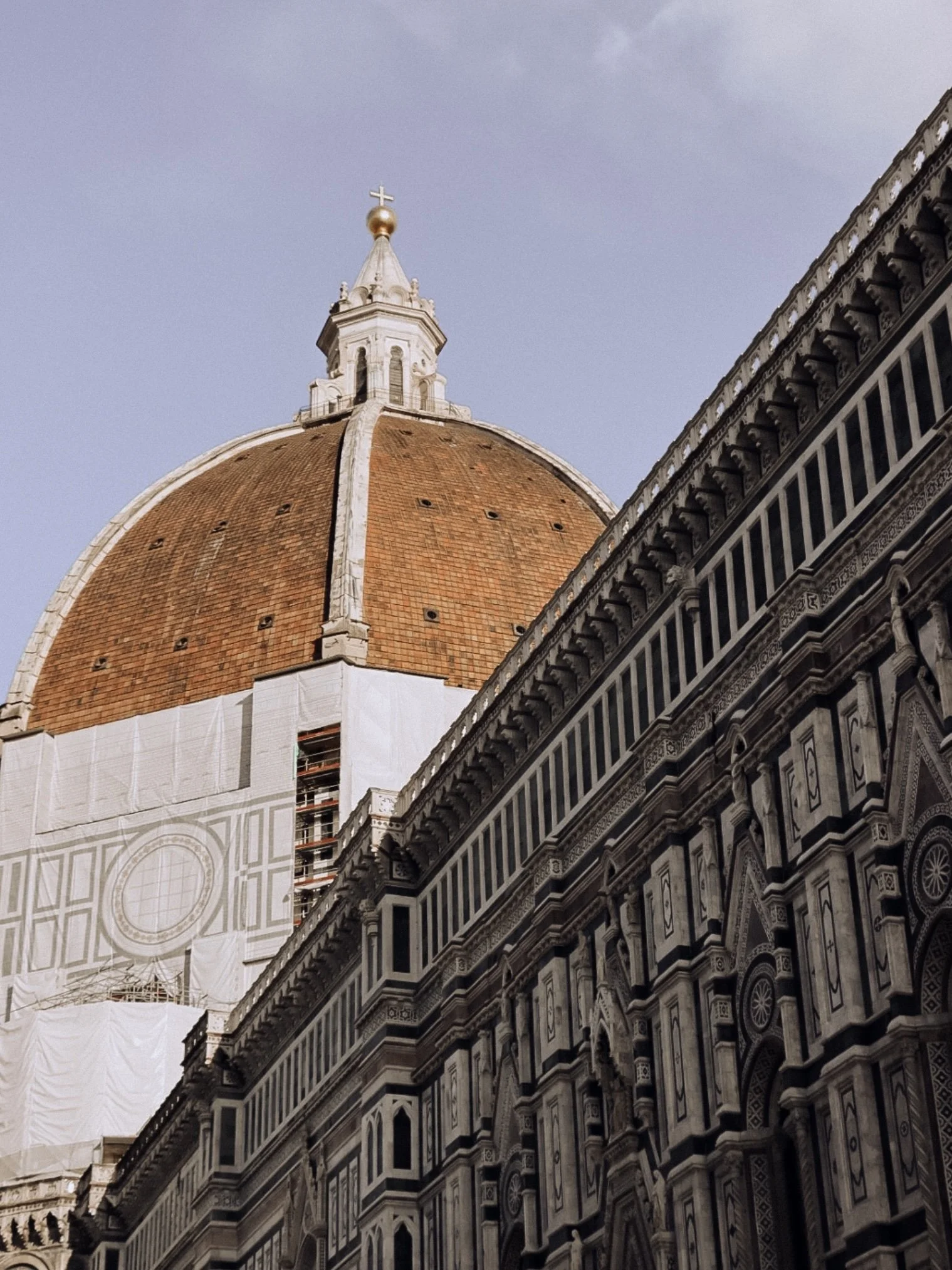 IMG_0908.jpeg