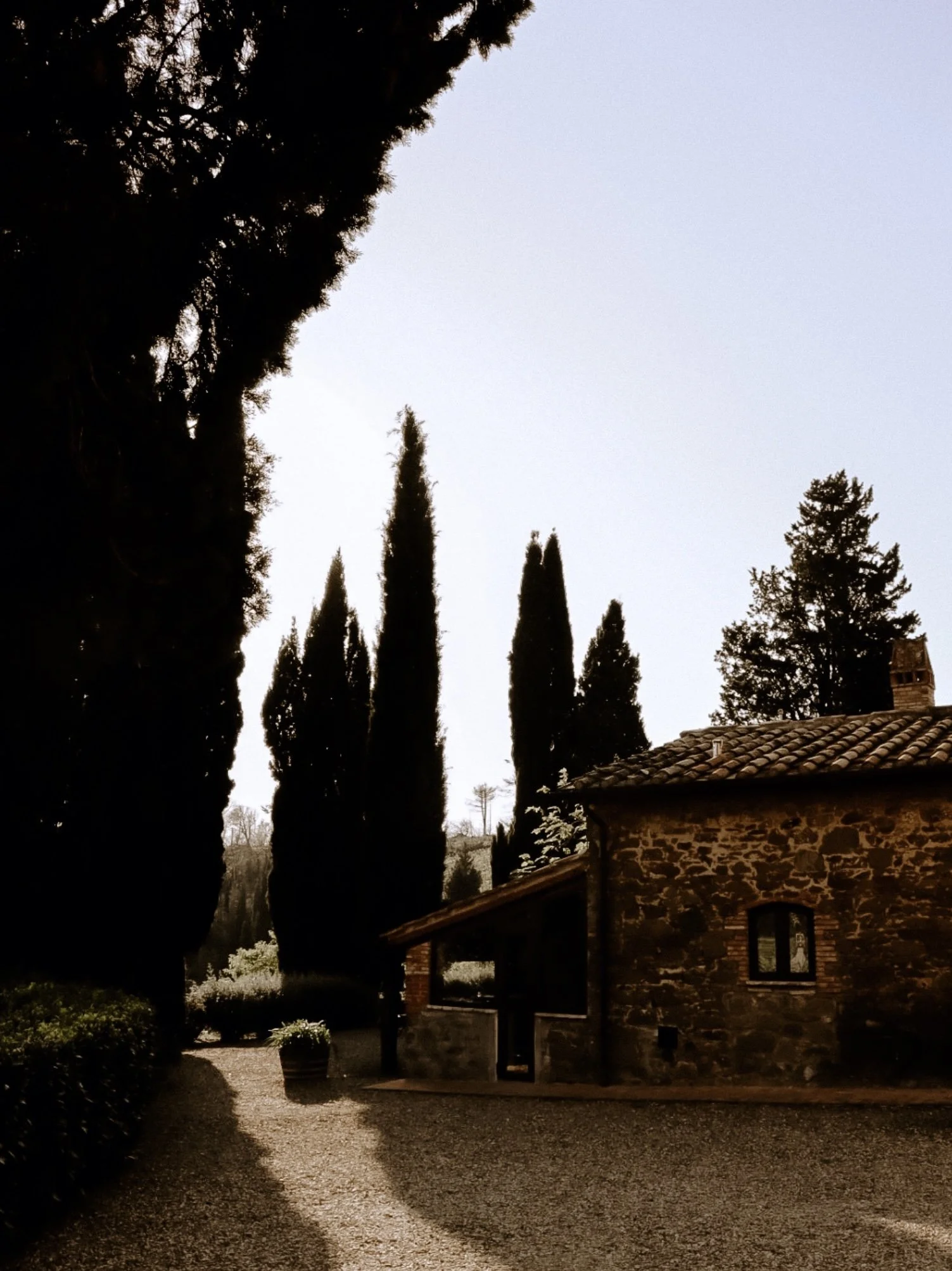 IMG_0913.jpeg