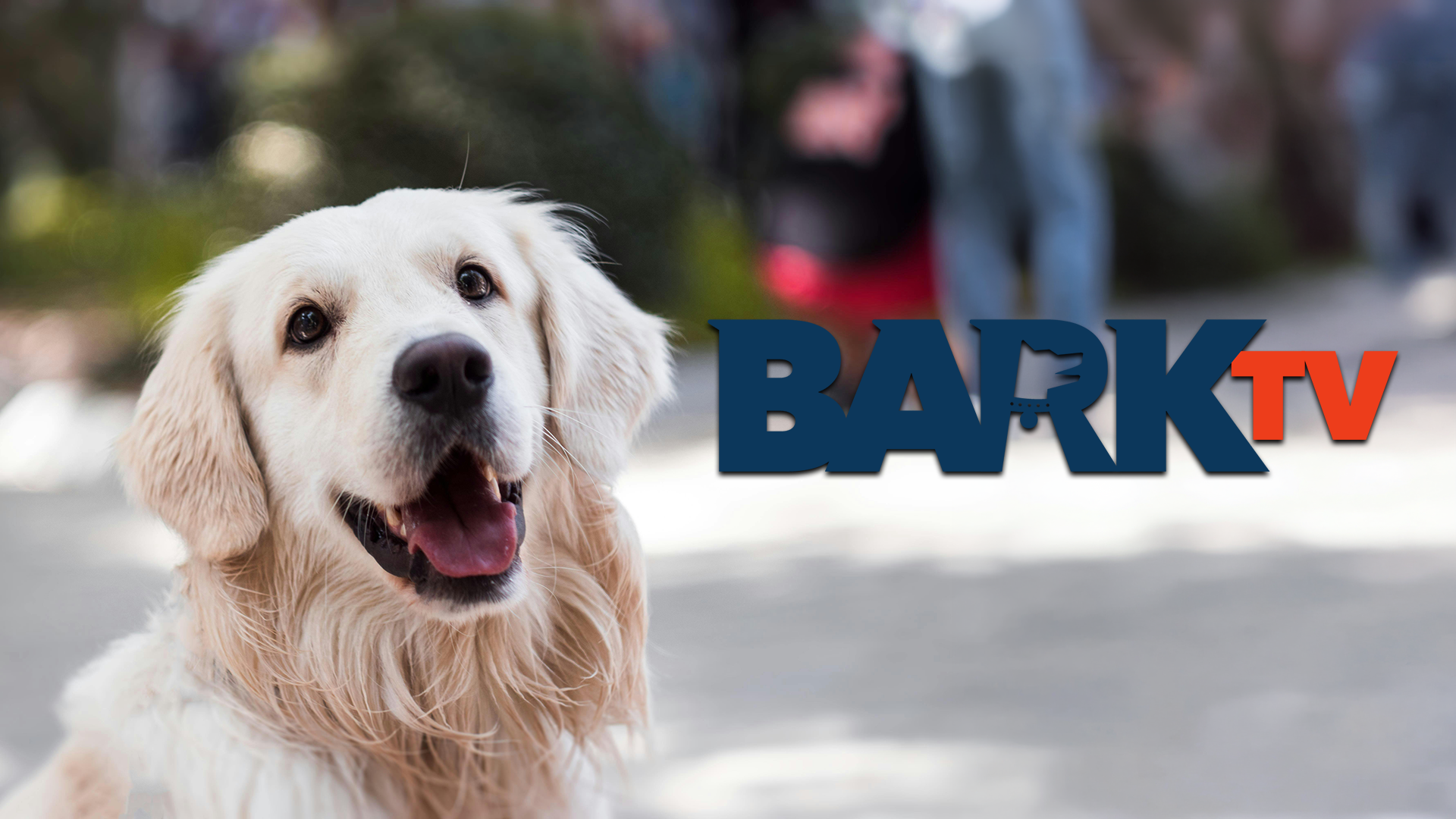 Bark TV.png