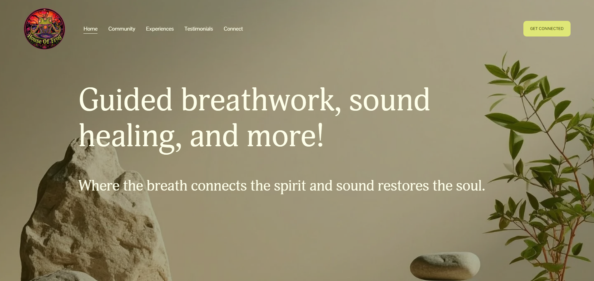 Website design for entrepreneurs House of Frog home page