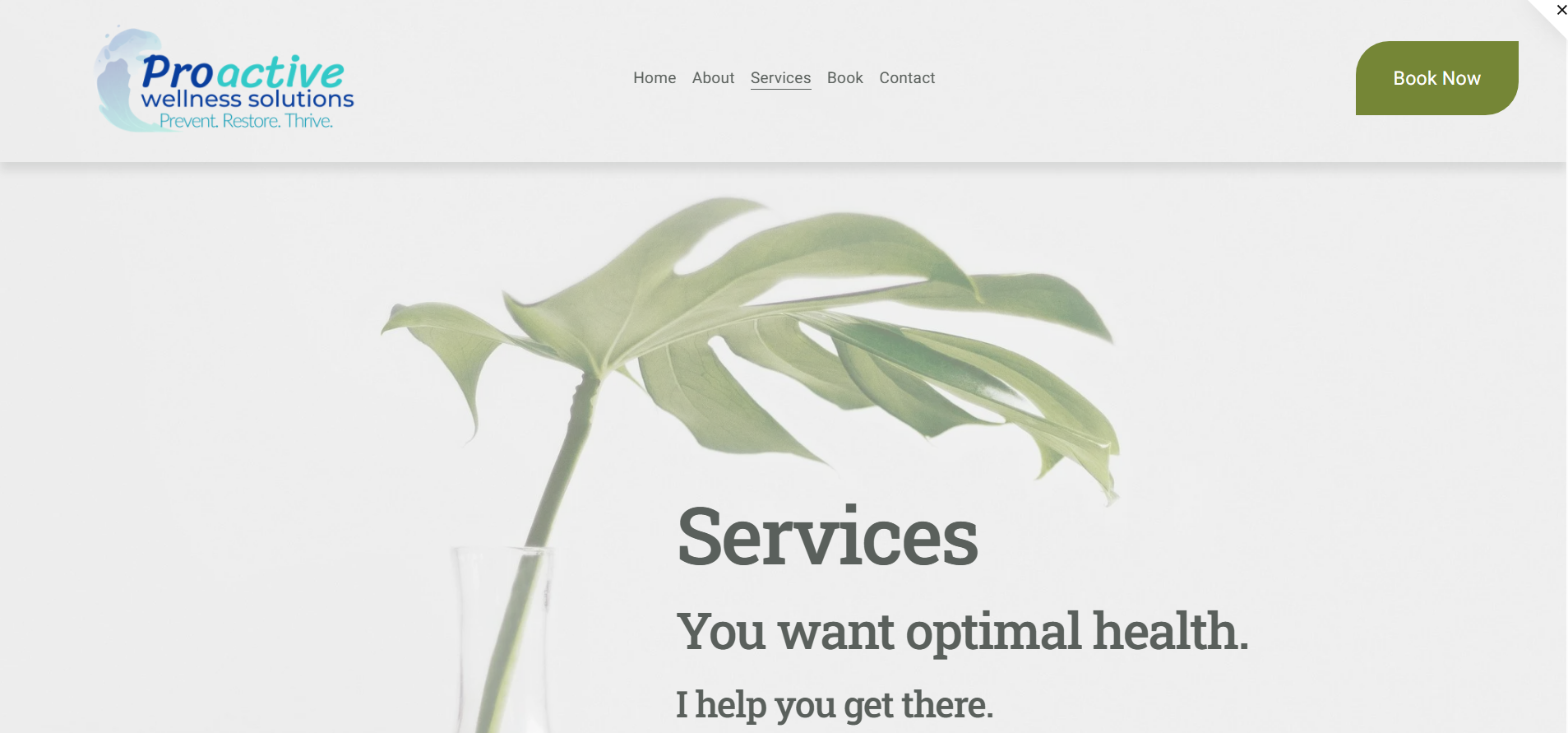 Screenshot of Proactive Wellness Solution's services page, with a green leaf in a glass and a green "Book Now" button.