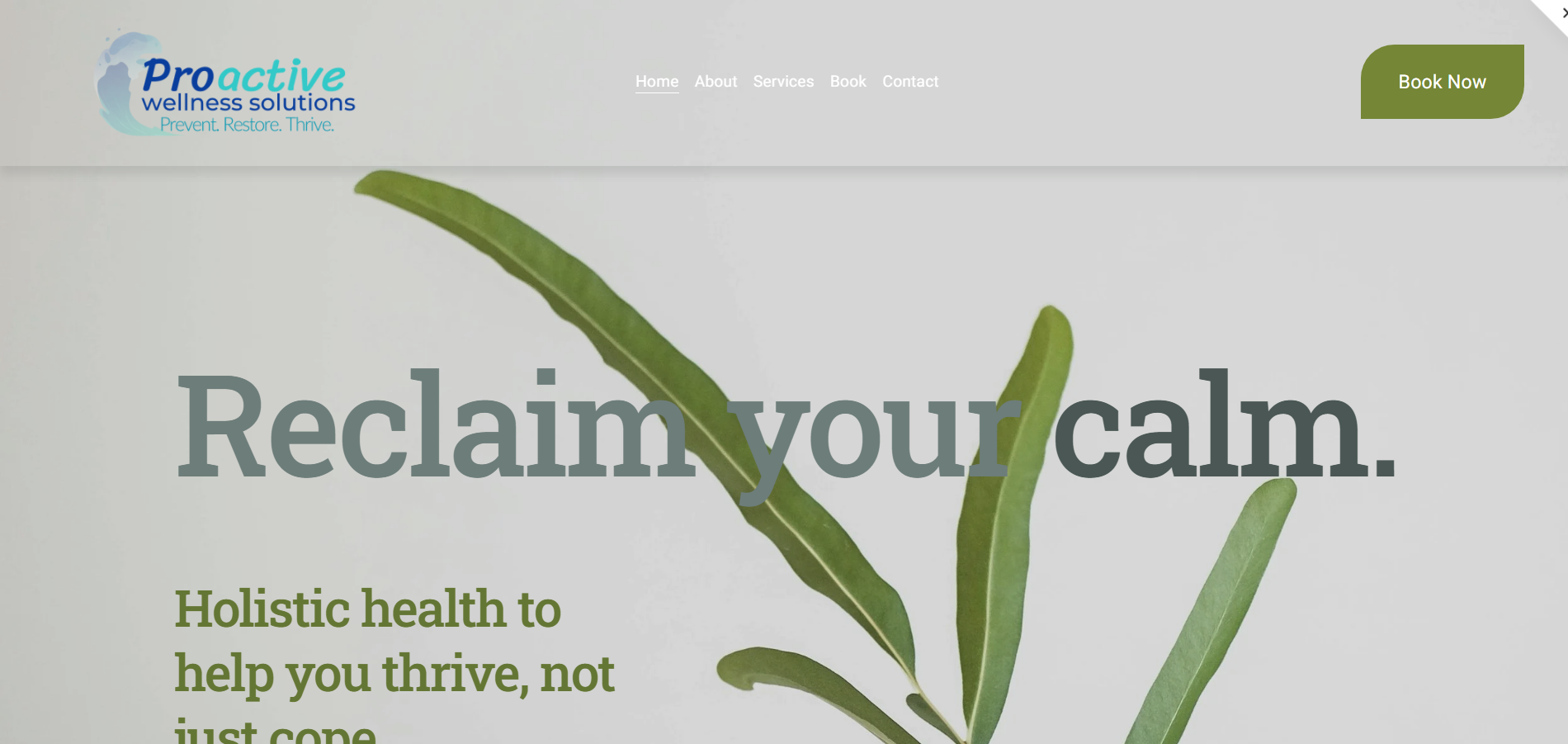 Website homepage for the functional health brand Proactive Wellness Solutions, featuring a green plant branch, a navigation menu (Home, About, Services, Book, Contact), and a green "Book Now" button. Main headline reads "Reclaim your calm."