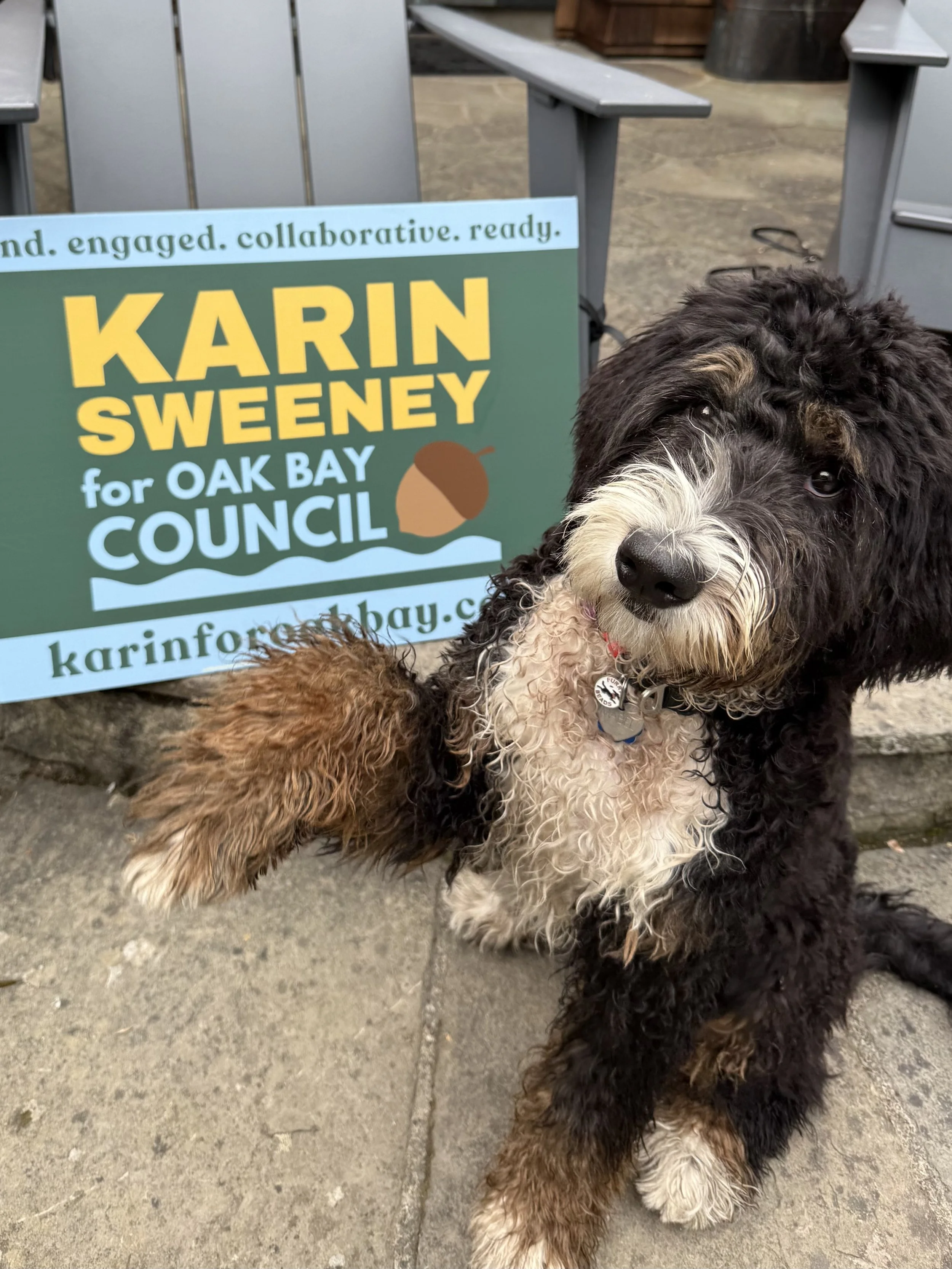 karin sweeney oak bay lawn sign