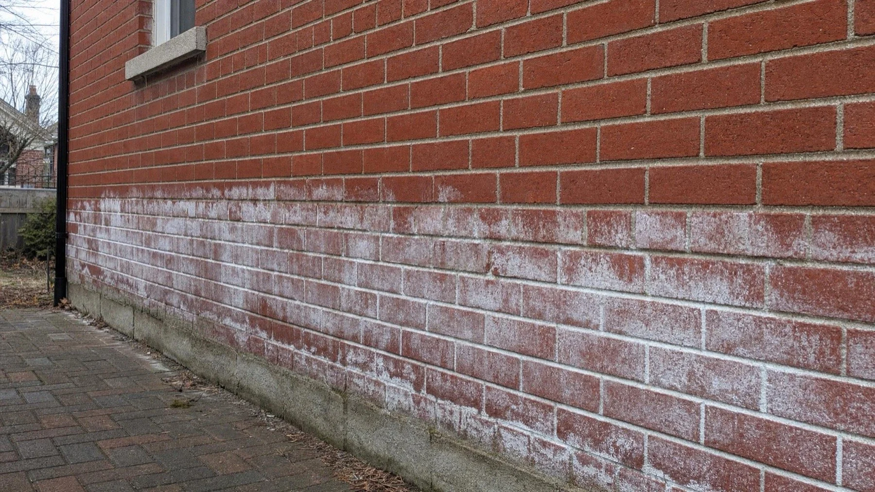 White Stains on Your Brick? What Efflorescence Is Telling You