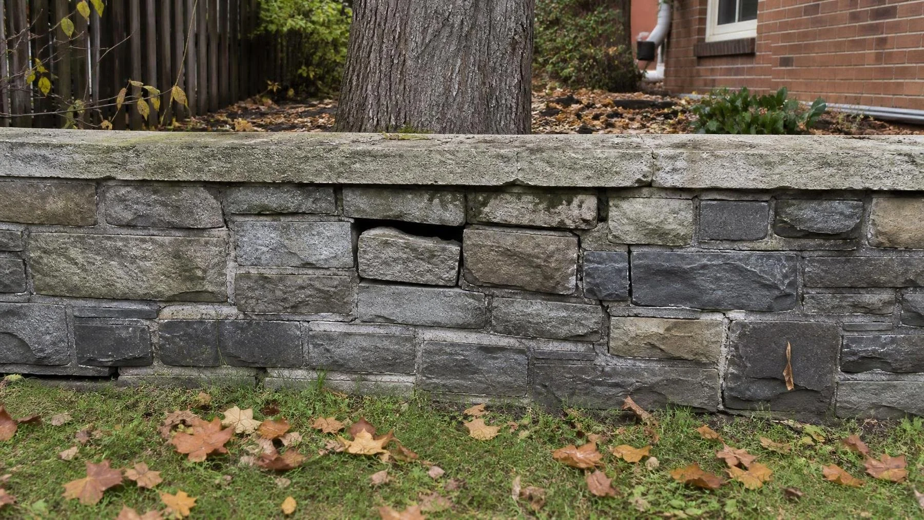 Backyard fieldstone retaining wall with a displaced stone and missing mortar