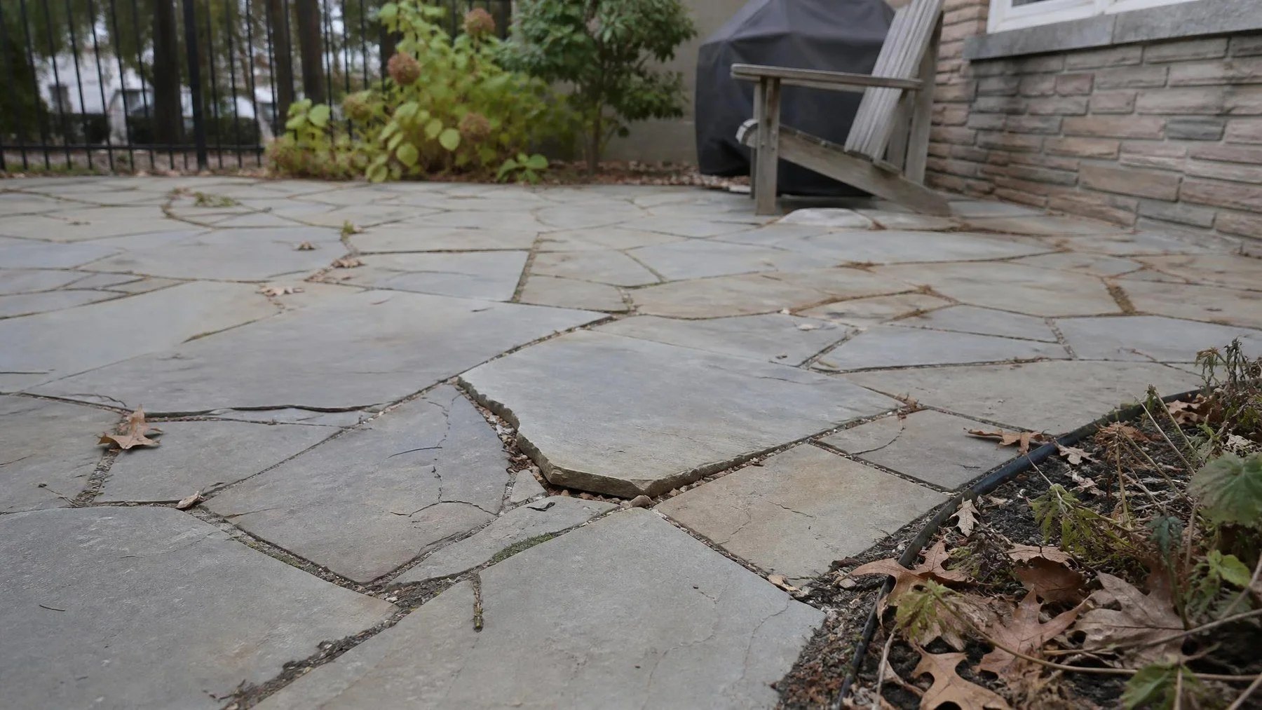 Flagstone patio with one lifted stone and cracked mortar joints