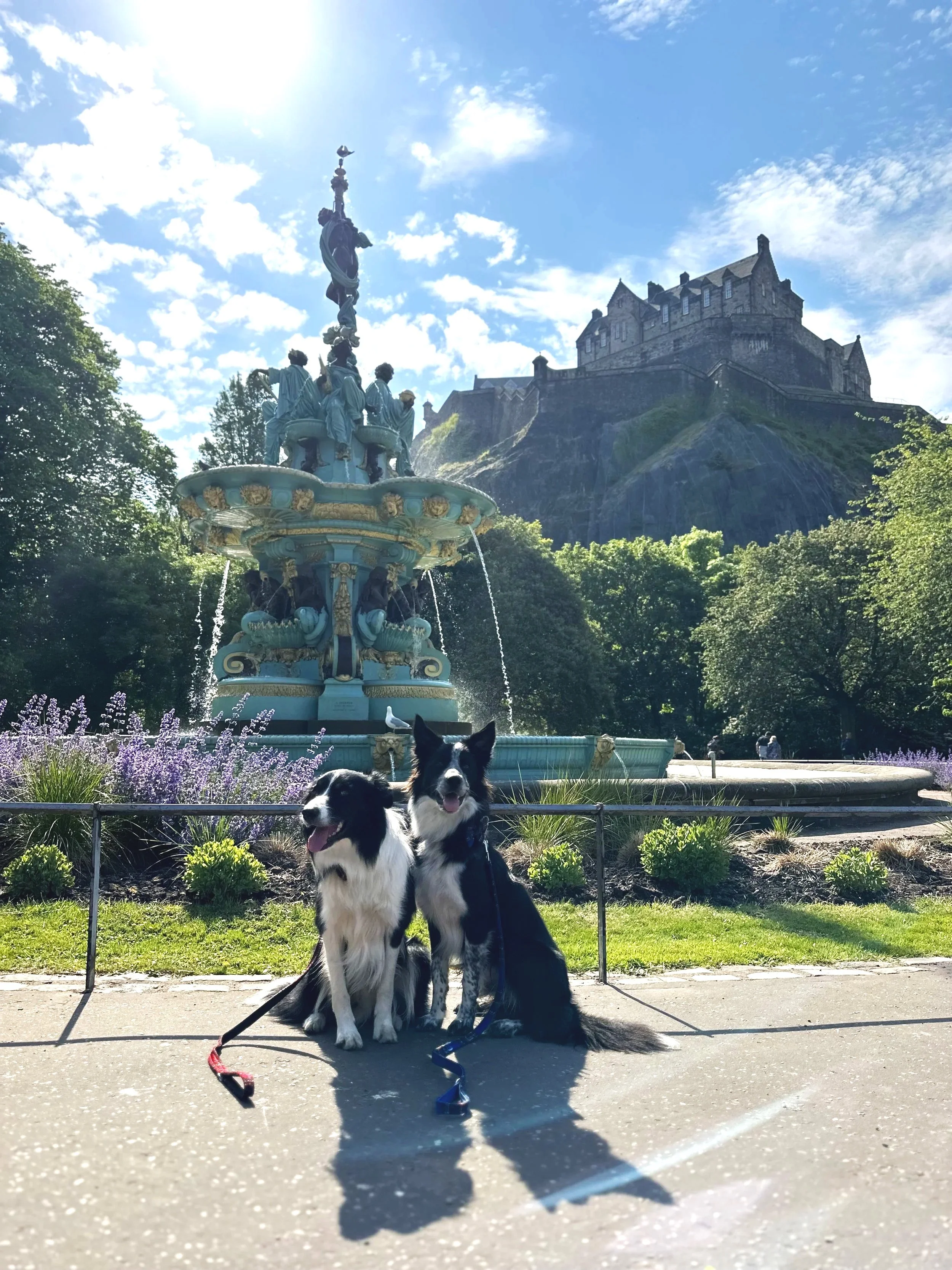 Two Border Collies sitting on a sidewalk in front of a fountain, with a large castle on a hill in the background, greenery, and a partly cloudy sky.