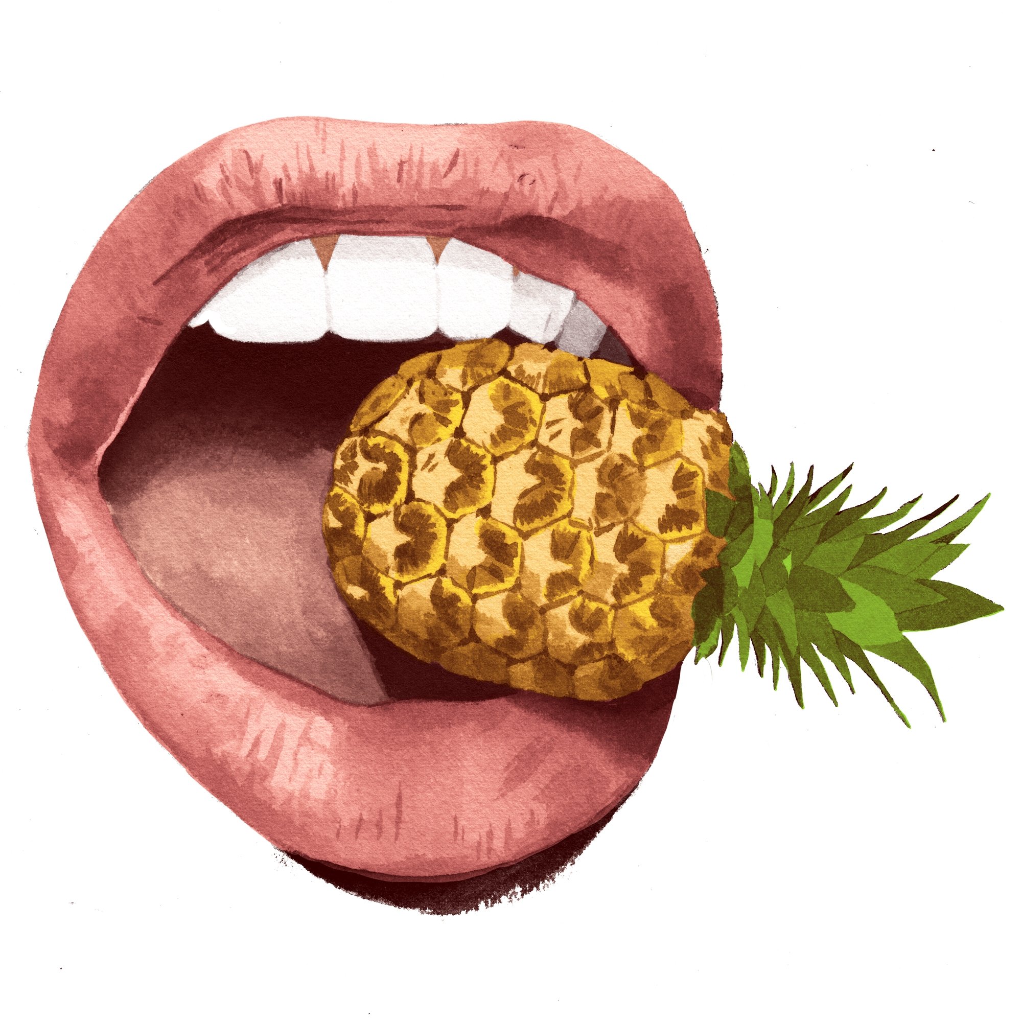 21_ananas5.jpg