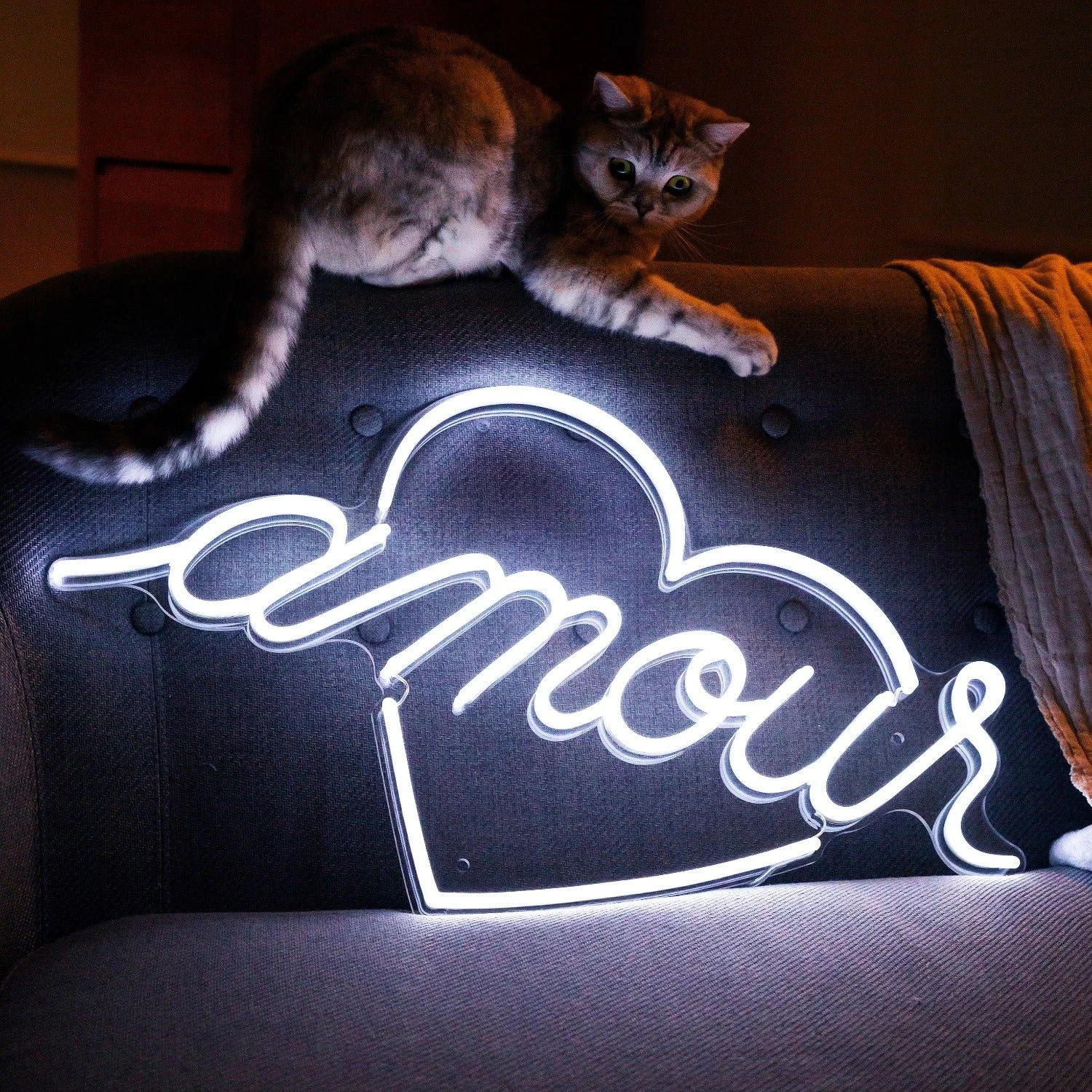 33_Amour-JA-2_1_830c8710-b5e8-467e-a8b5-1e995d9bc456.jpg