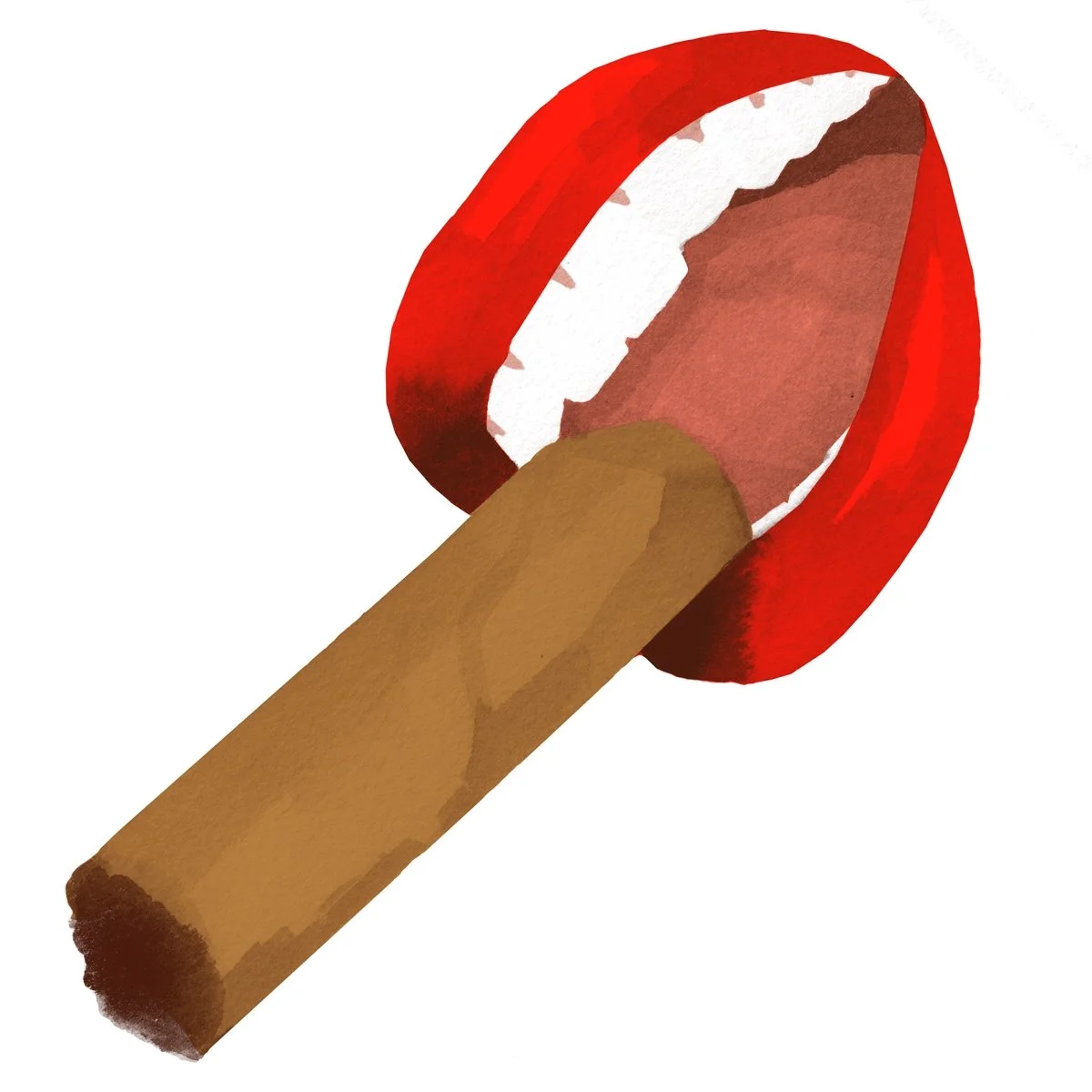 21_cigare.jpg