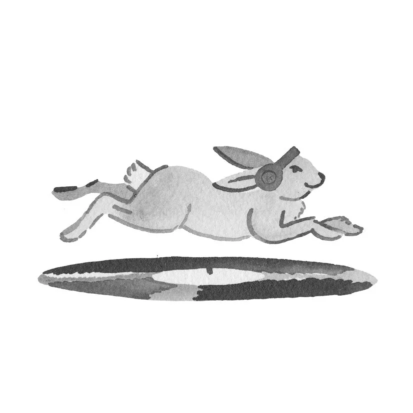 18_rabbitraph.jpg