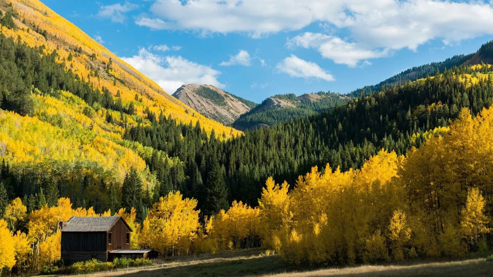 imgi_15_Aspen-Luxury-Real-Estate-1.jpg