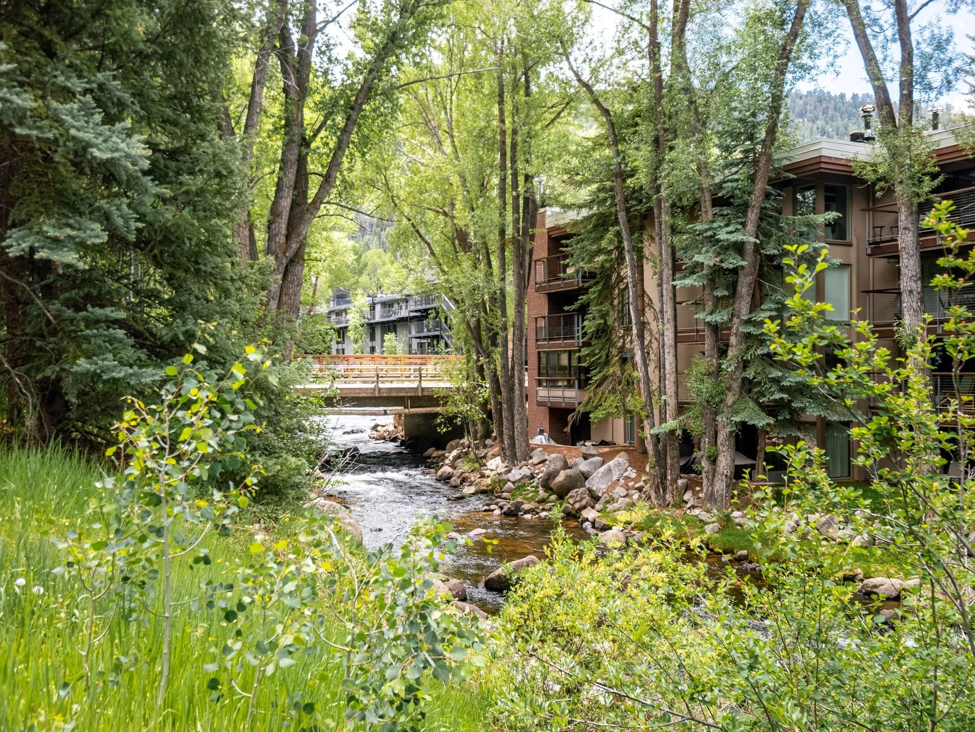 314-N-Riverside-Ave---Aspen,-CO-40.jpg