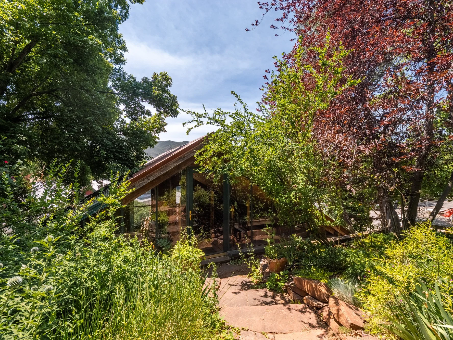 MLS - 216 E Homestead Drive - Basalt, CO-34.jpg