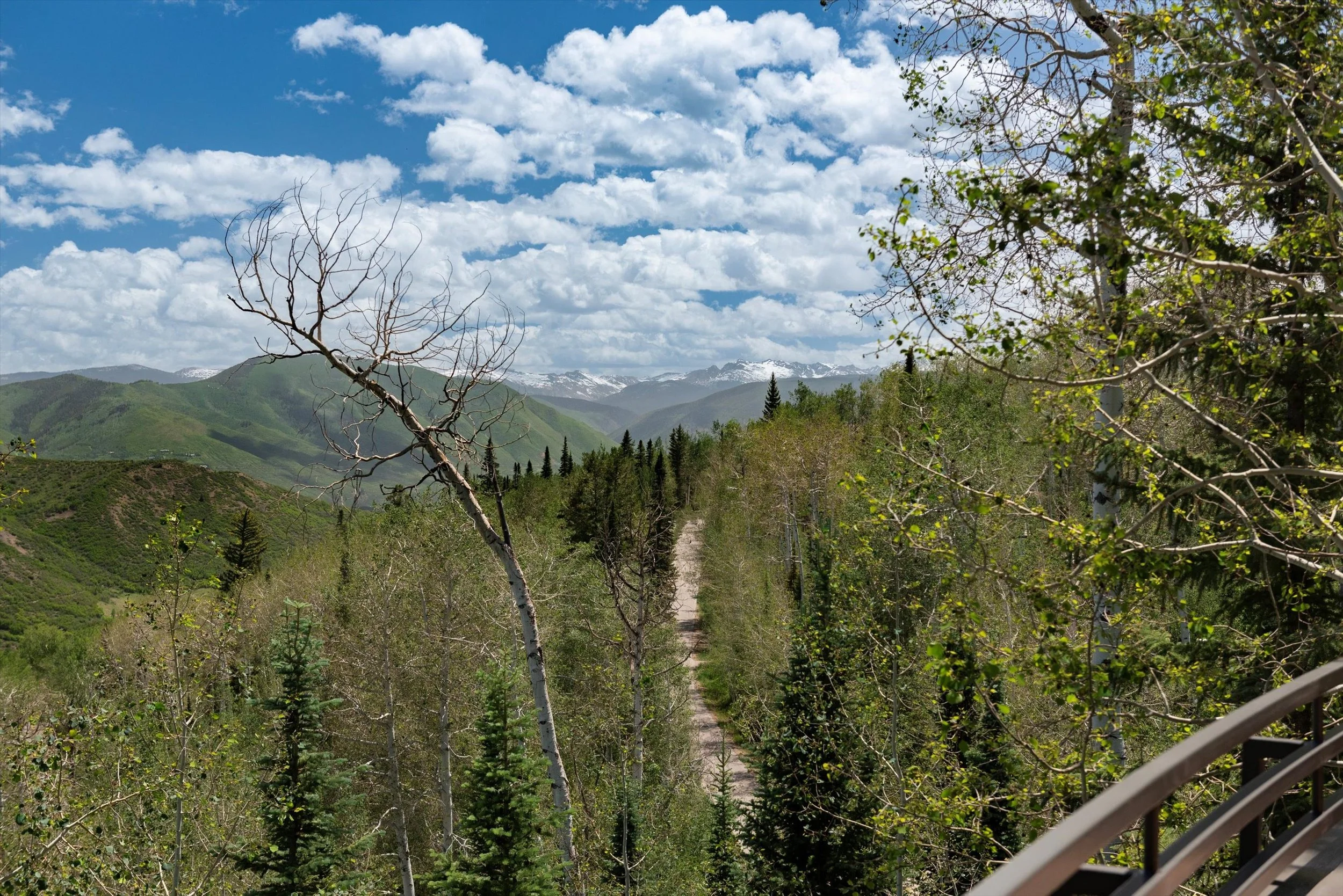 03-67-964FarawayRd_240618005.jpg