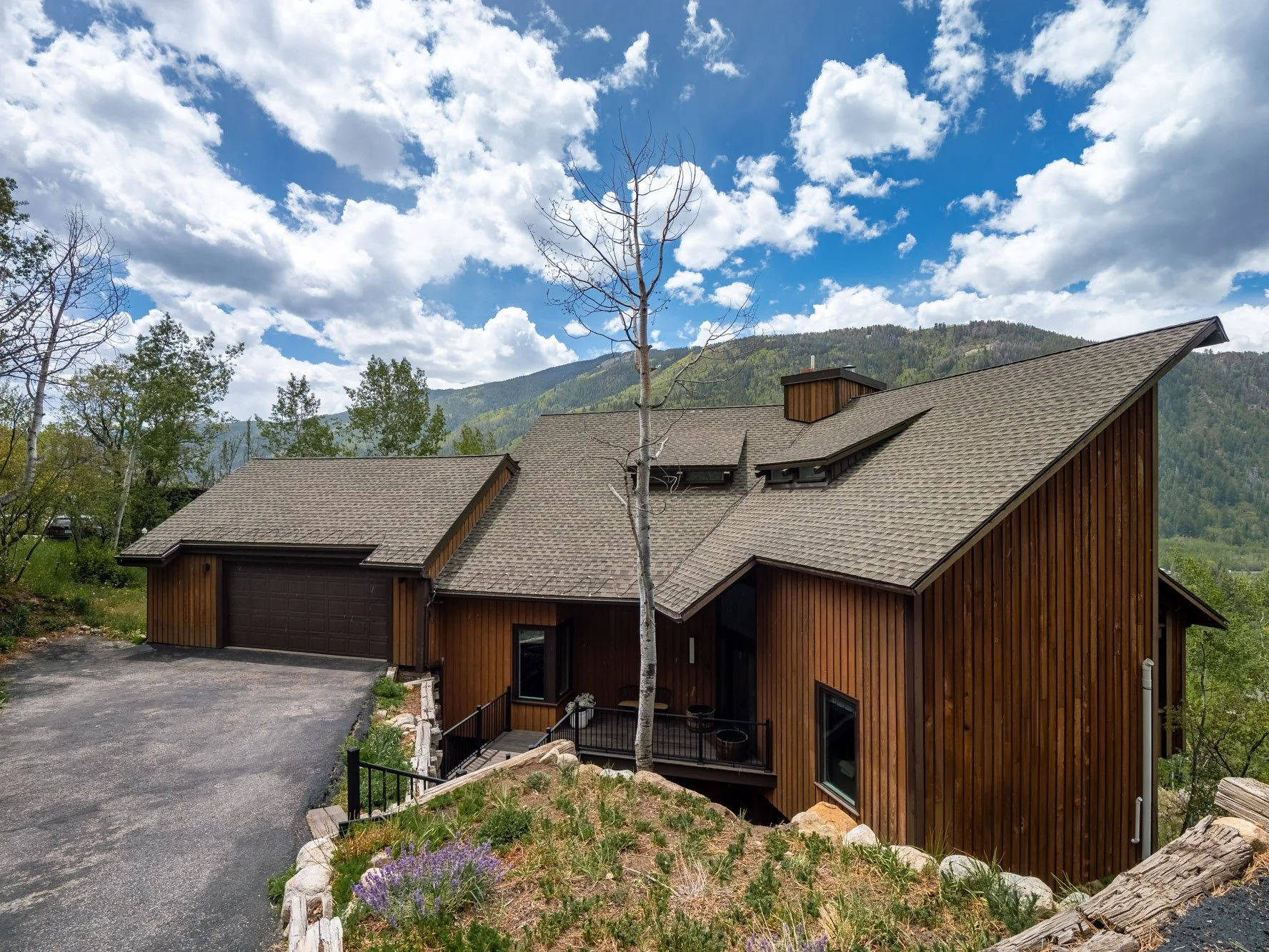 MLS - 780 Mount Laurel - Aspen, CO-02.jpg