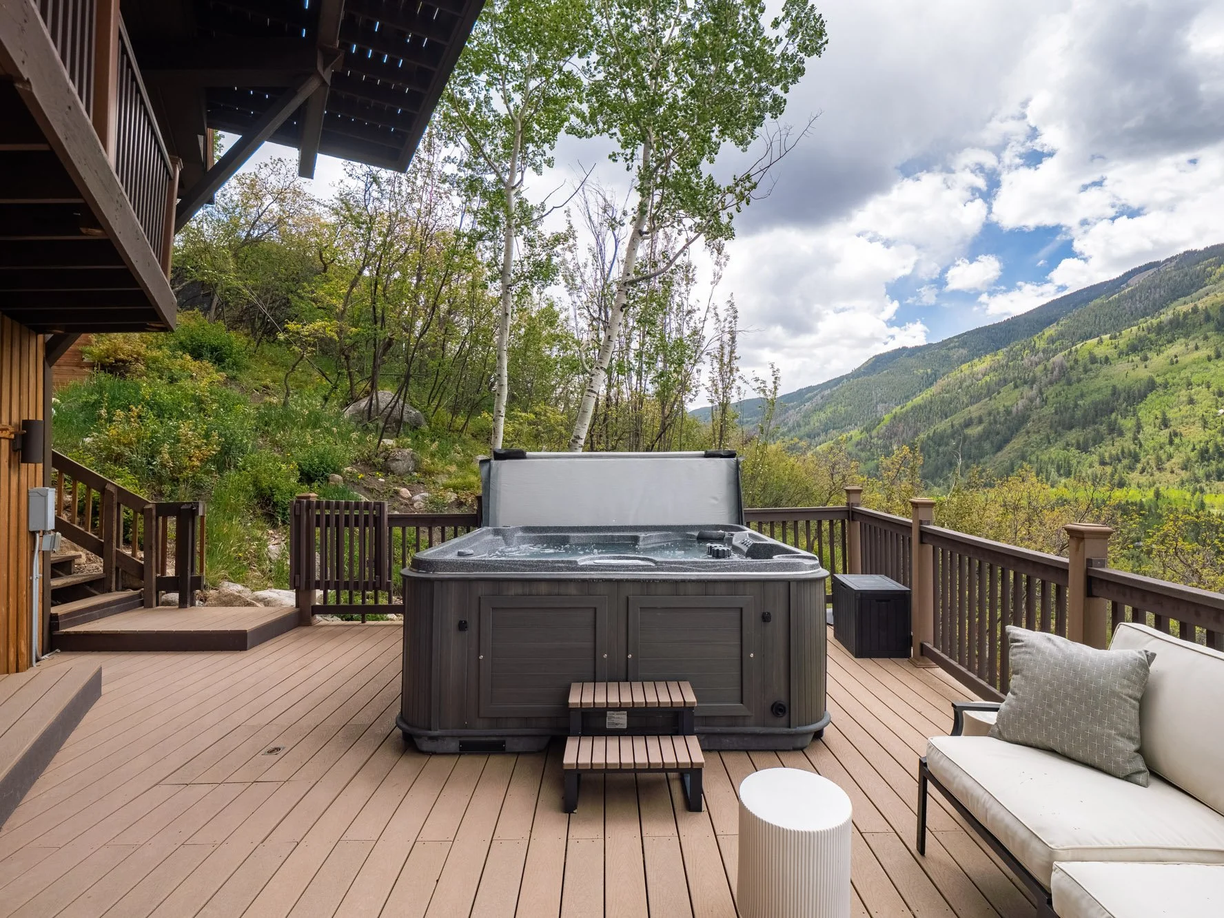 MLS - 780 Mount Laurel - Aspen, CO-18.jpg