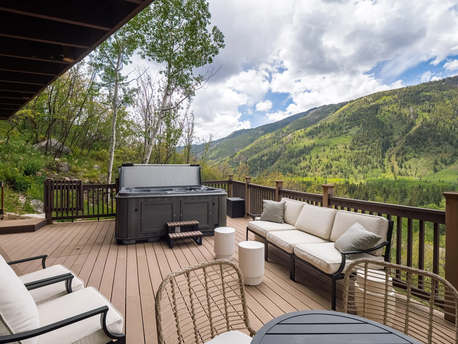 MLS - 780 Mount Laurel - Aspen, CO-19.jpg