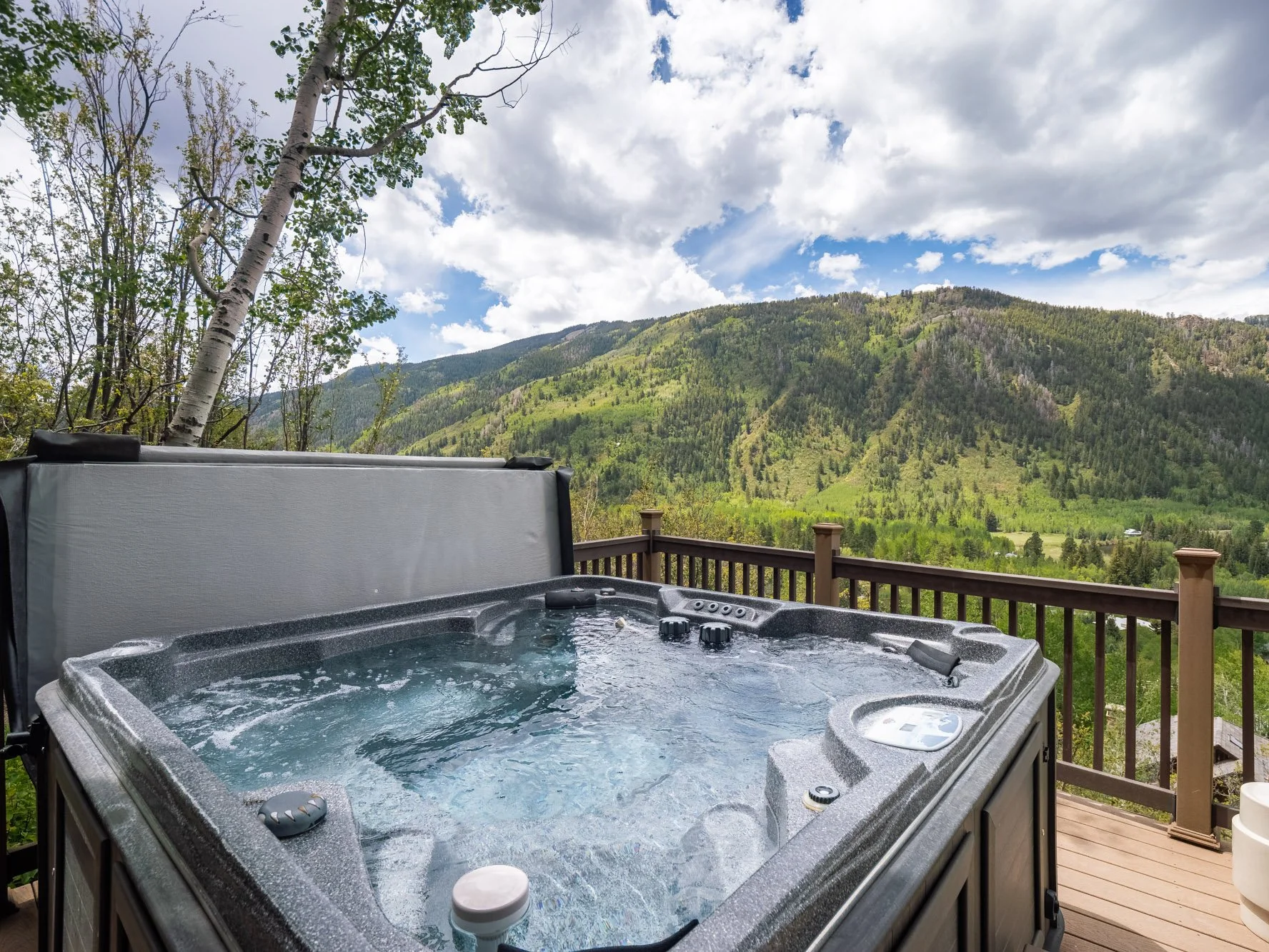 MLS - 780 Mount Laurel - Aspen, CO-20.jpg