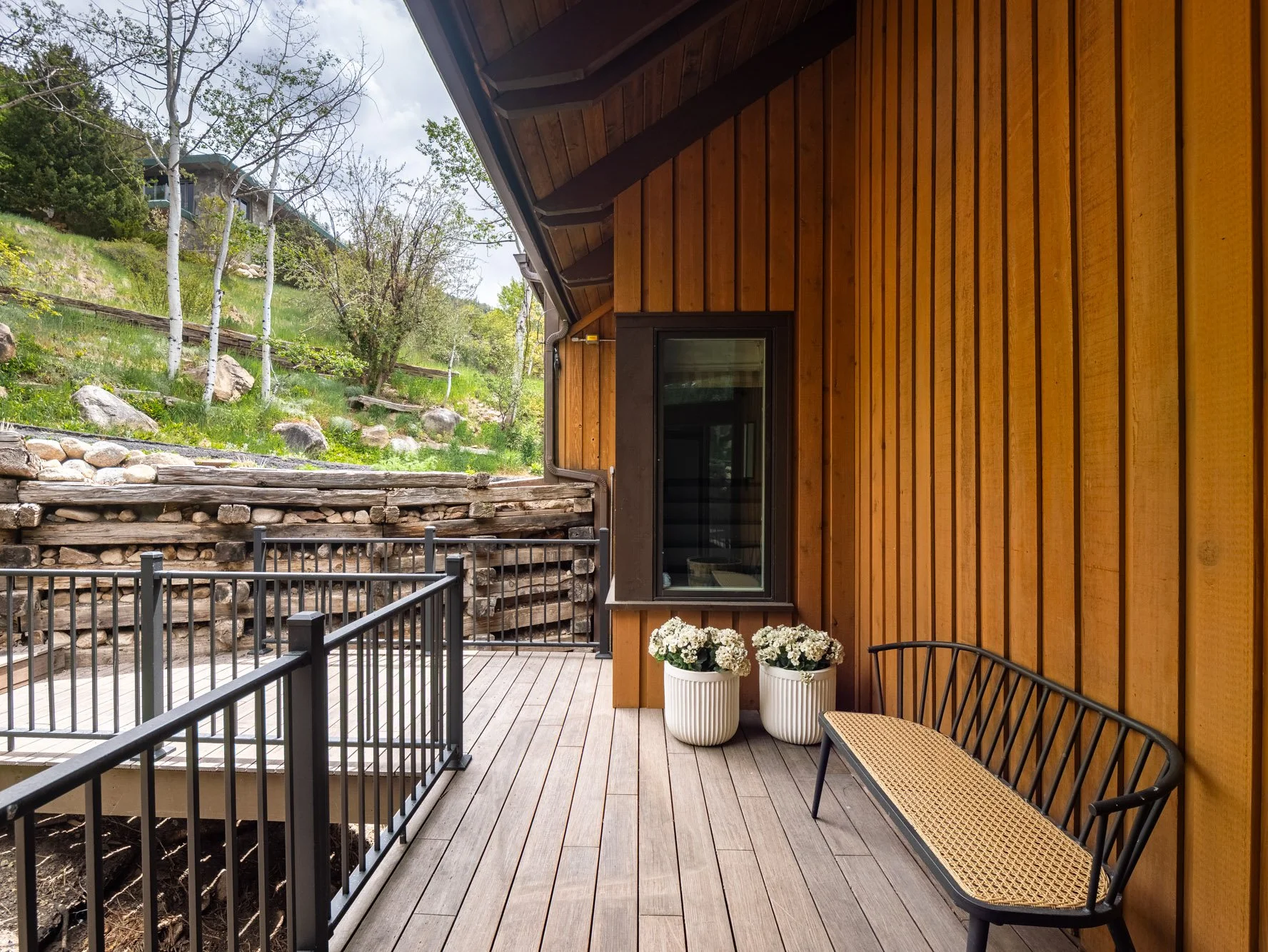 MLS - 780 Mount Laurel - Aspen, CO-21.jpg