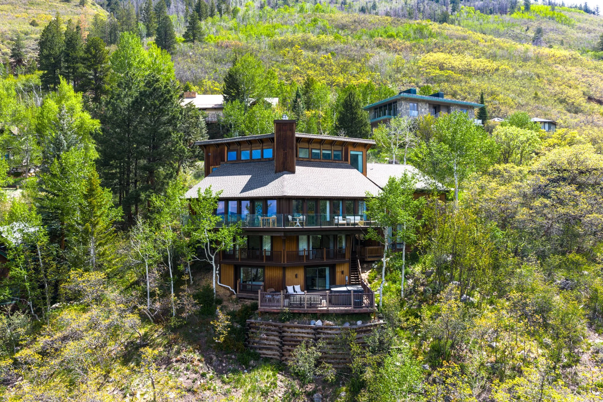 MLS - 780 Mount Laurel - Aspen, CO-31.jpg