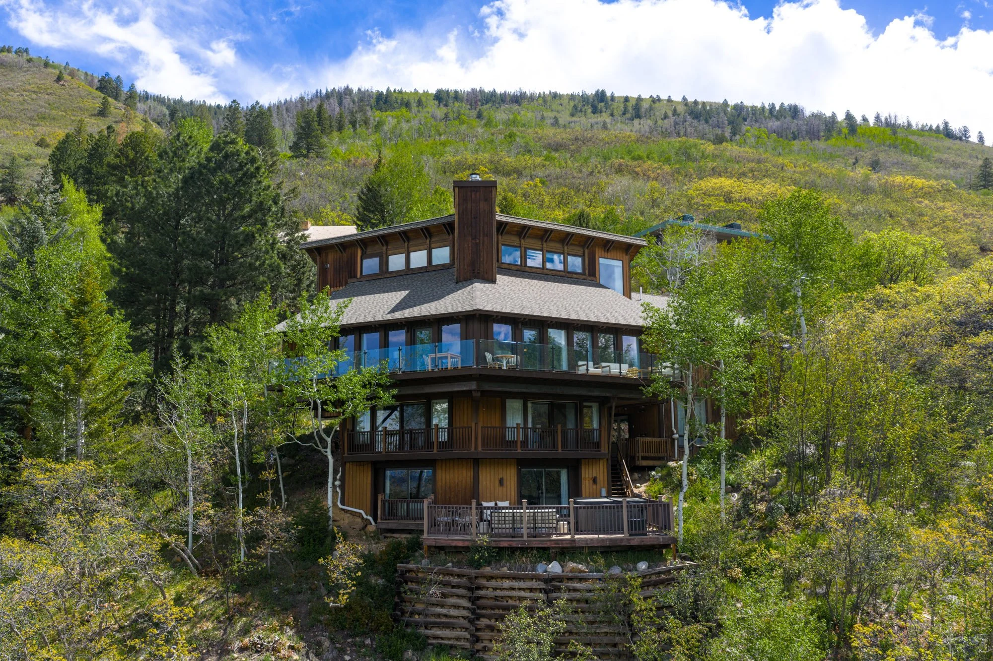 MLS - 780 Mount Laurel - Aspen, CO-32.jpg