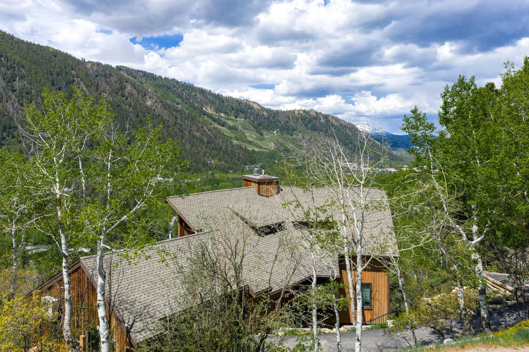 MLS - 780 Mount Laurel - Aspen, CO-36.jpg