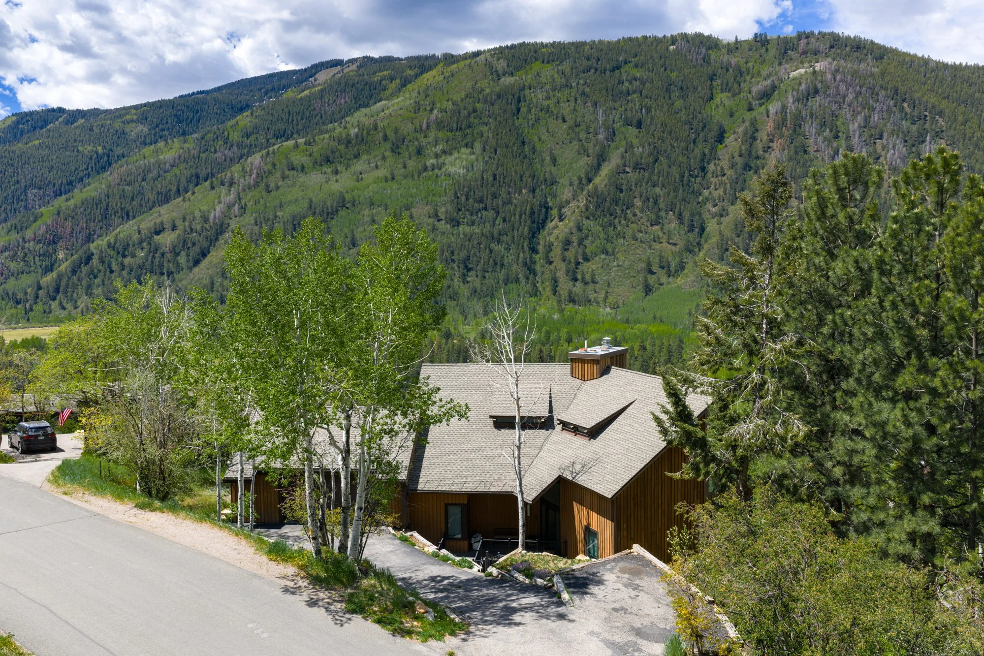 MLS - 780 Mount Laurel - Aspen, CO-37.jpg