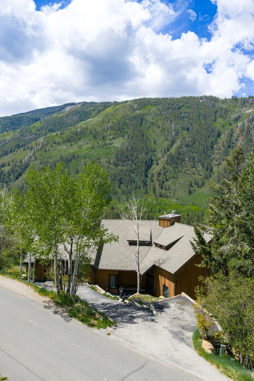 MLS - 780 Mount Laurel - Aspen, CO-38.jpg