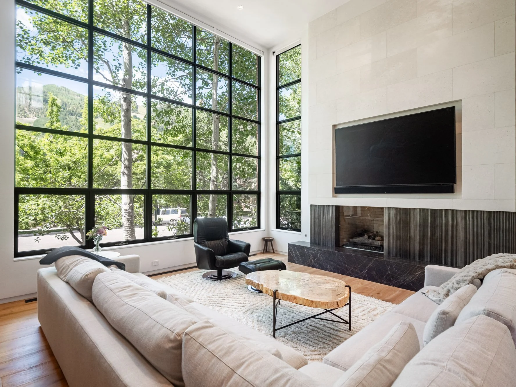 MLS - 624 E Hopkins Ave - Aspen, CO-23.jpg