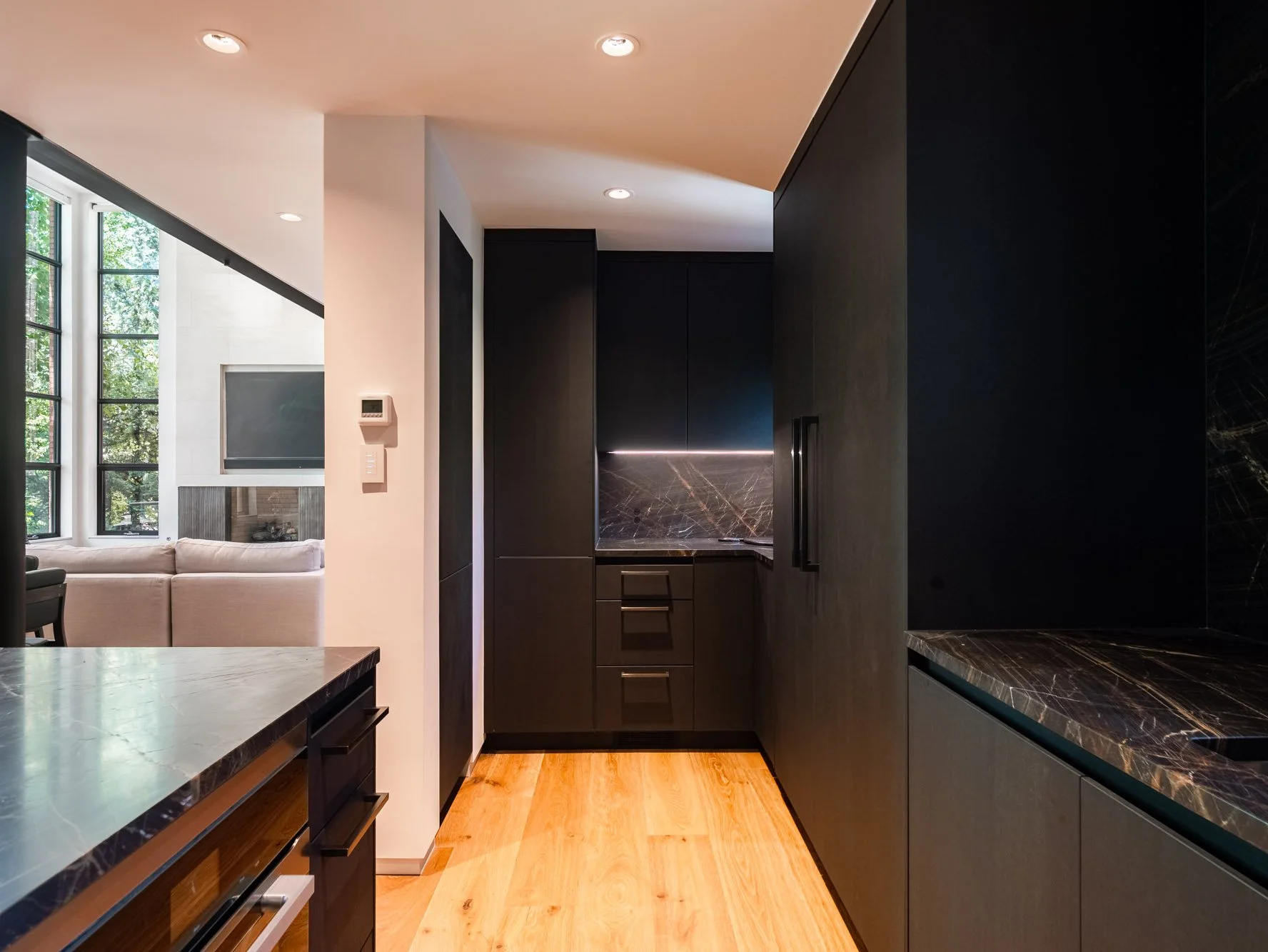 MLS - 624 E Hopkins Ave - Aspen, CO-33.jpg