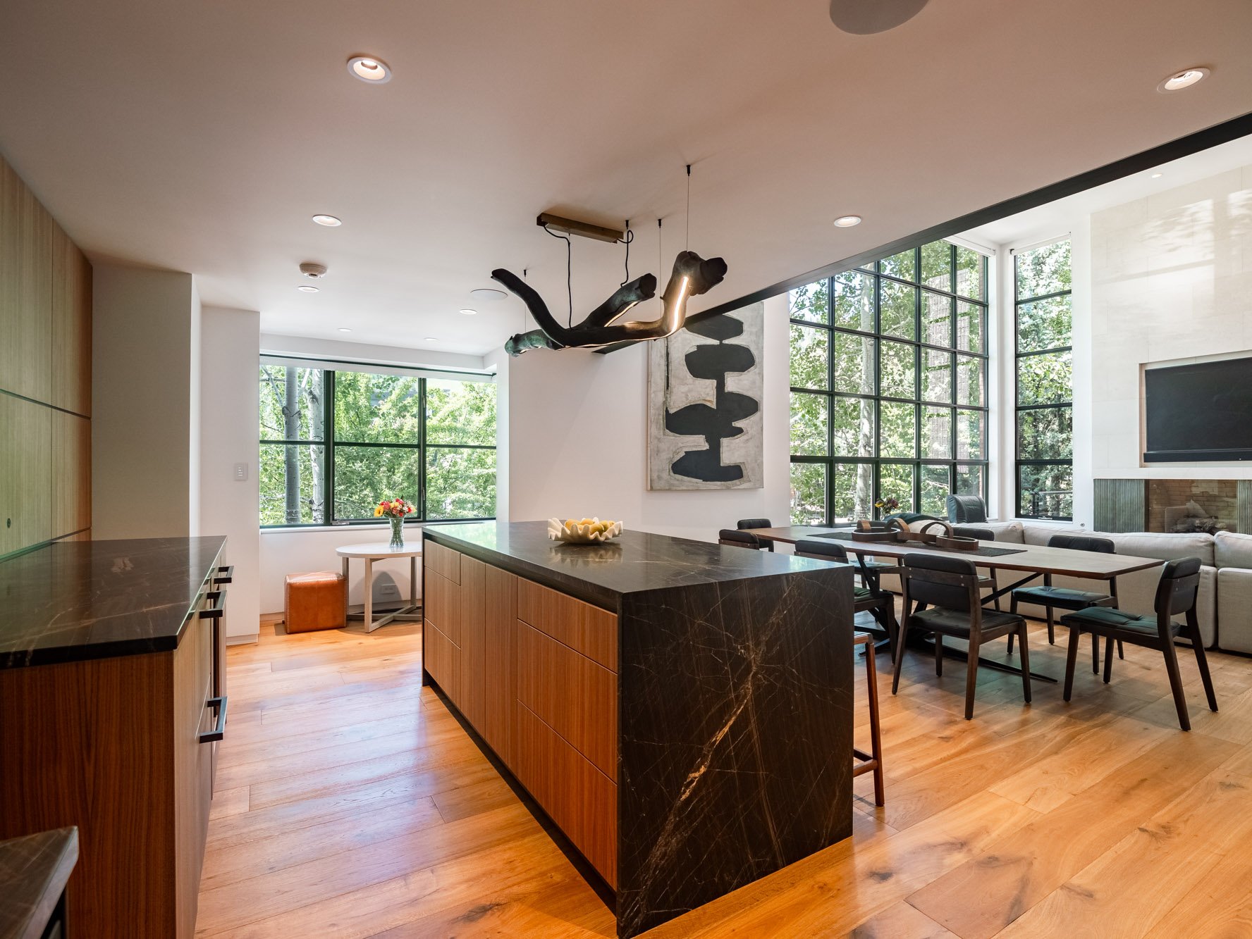 MLS - 624 E Hopkins Ave - Aspen, CO-35.jpg